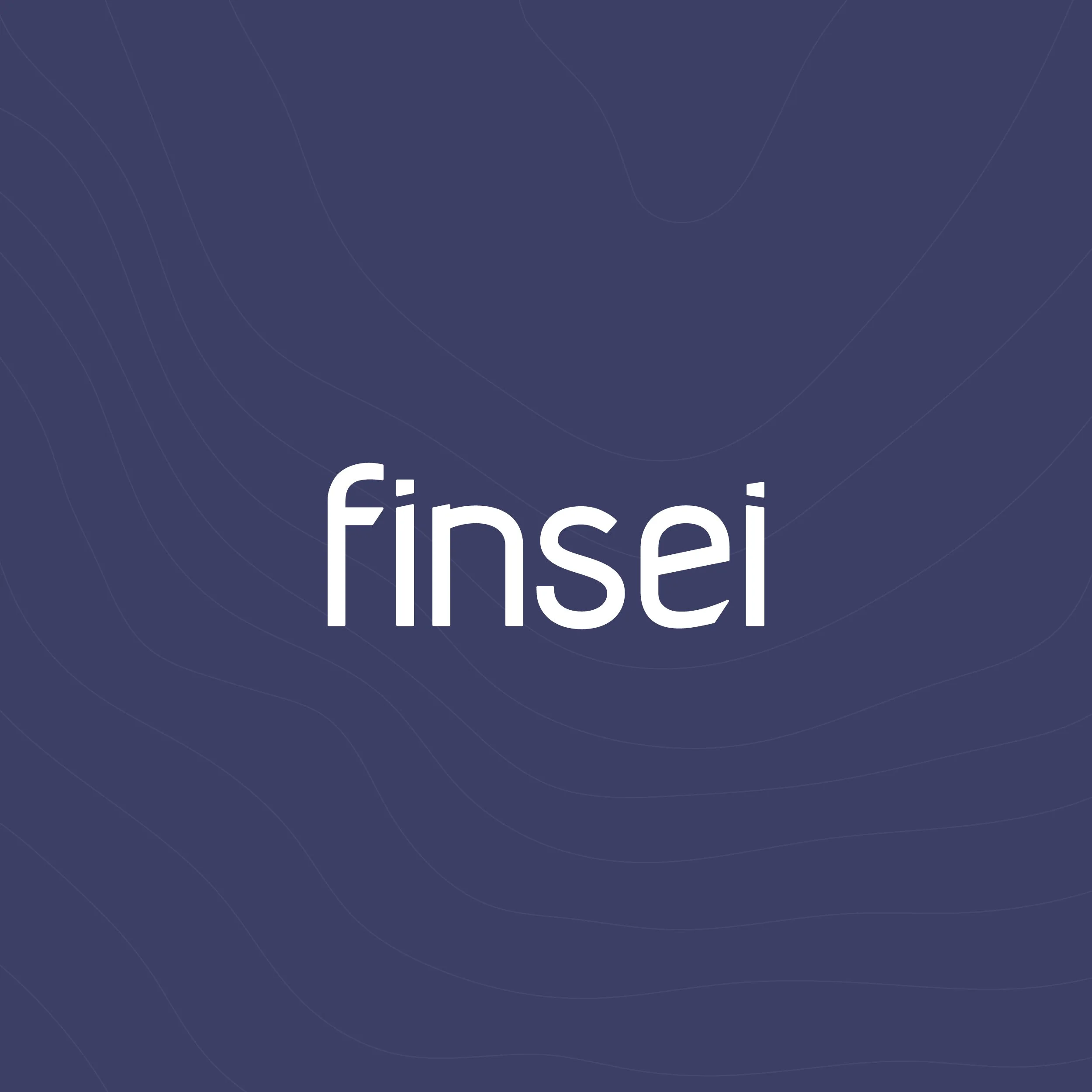 __Finsei-Brand-Guide-Preview_2024-05.jpg