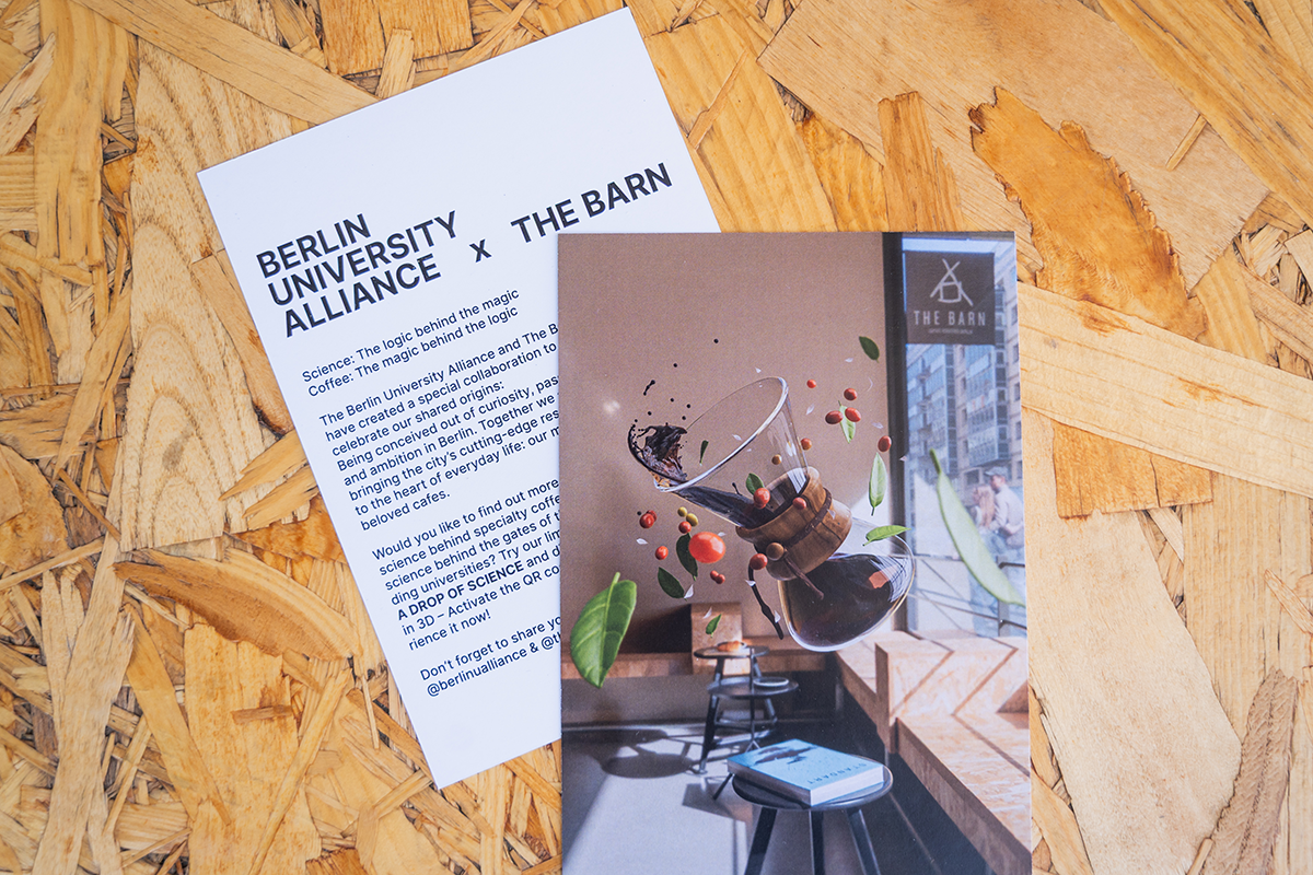 BUA x The Barn 01.png