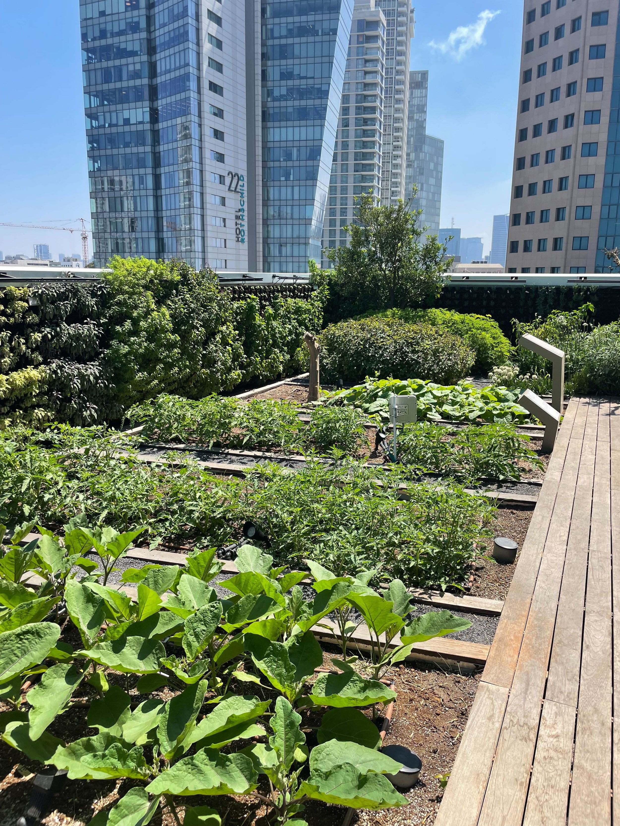 Garden at Asif: Culinary Institute of Israel