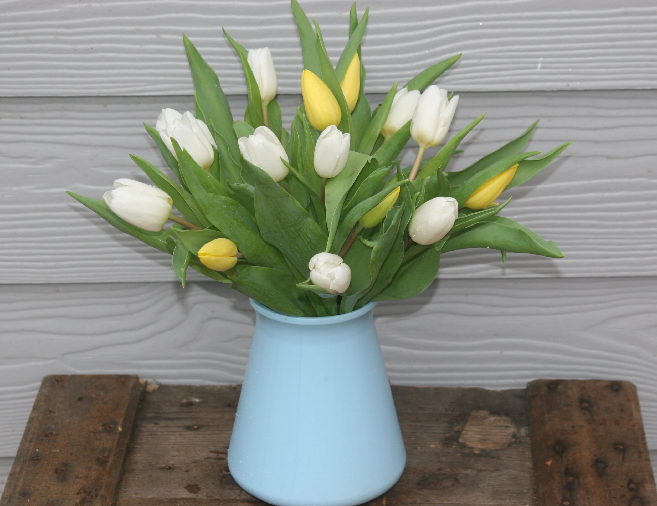 EASTER TULIP BOUQUET