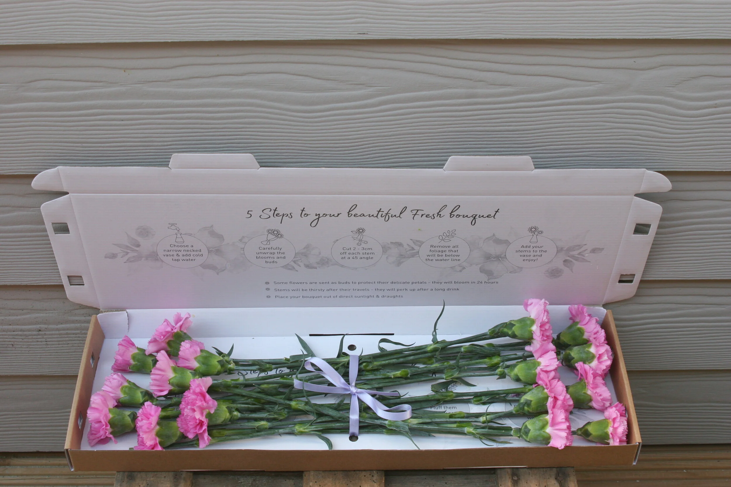 letterbox carnations 2.JPG