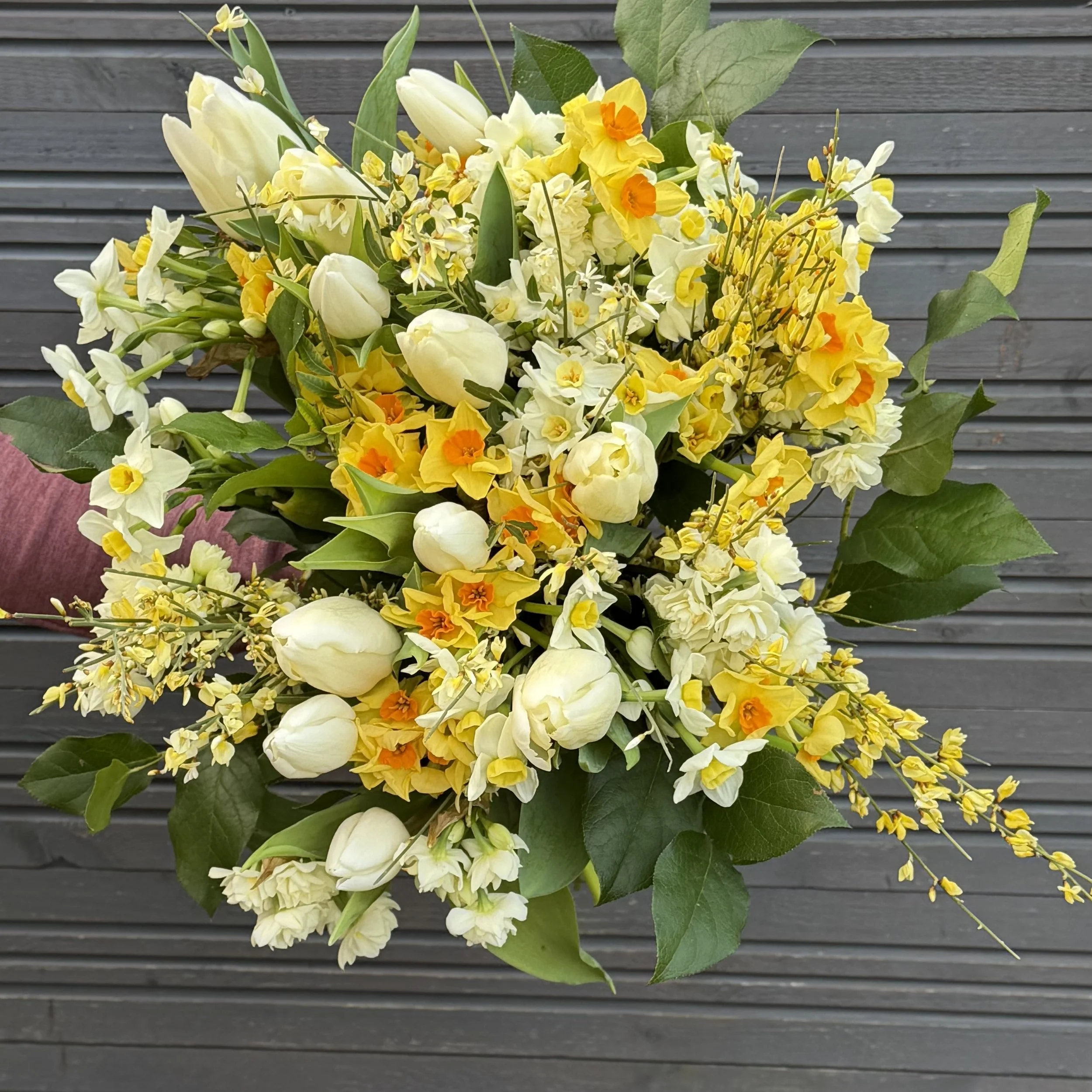 Scented Narcissi and tulip Bouquet