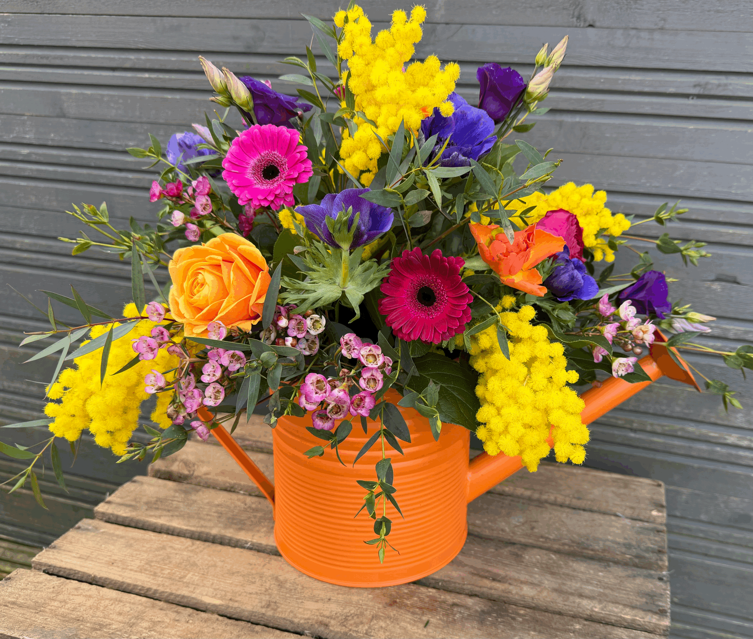 Fiesta Watering Can arrangement