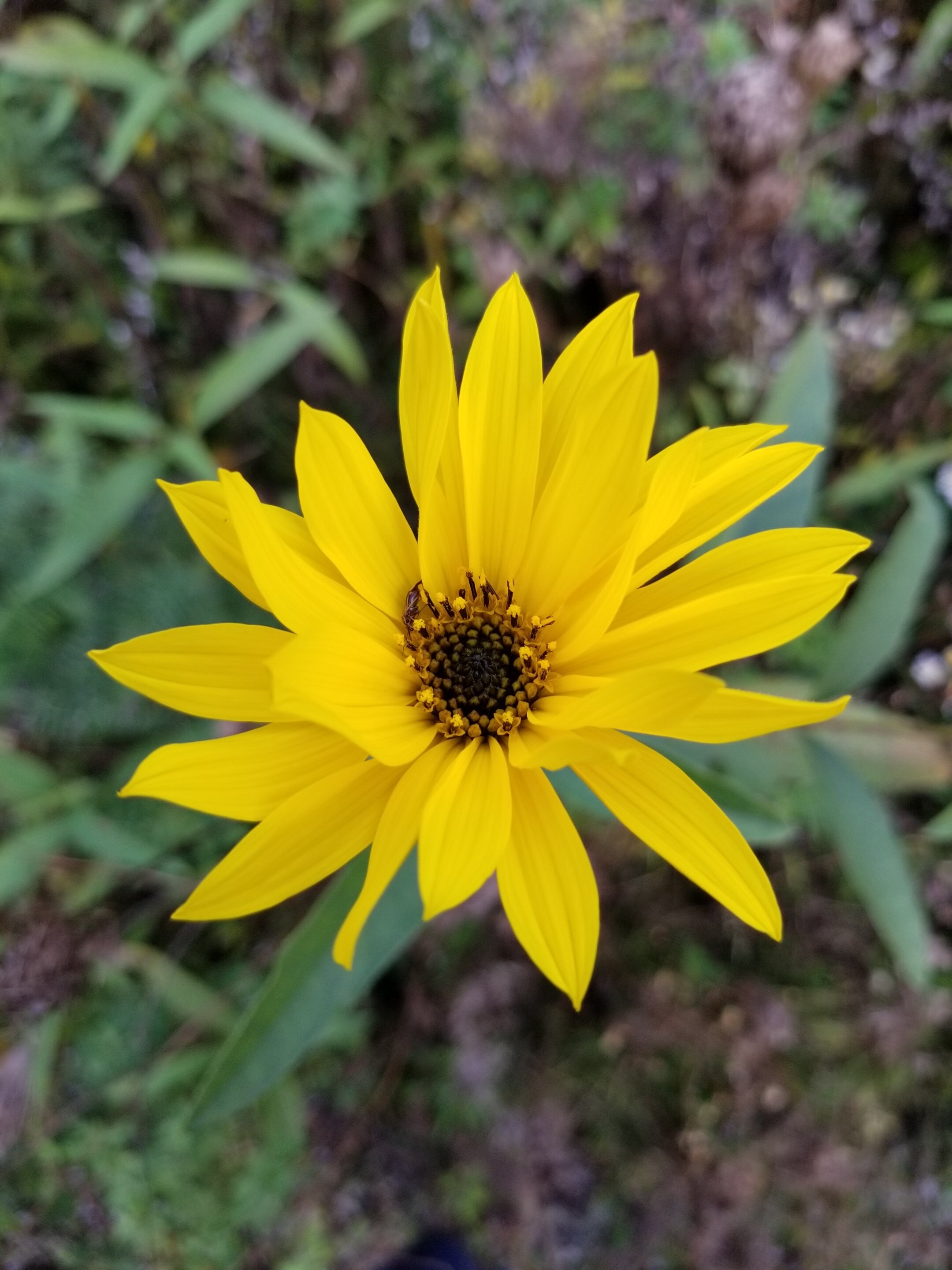 20201005_171602.jpg