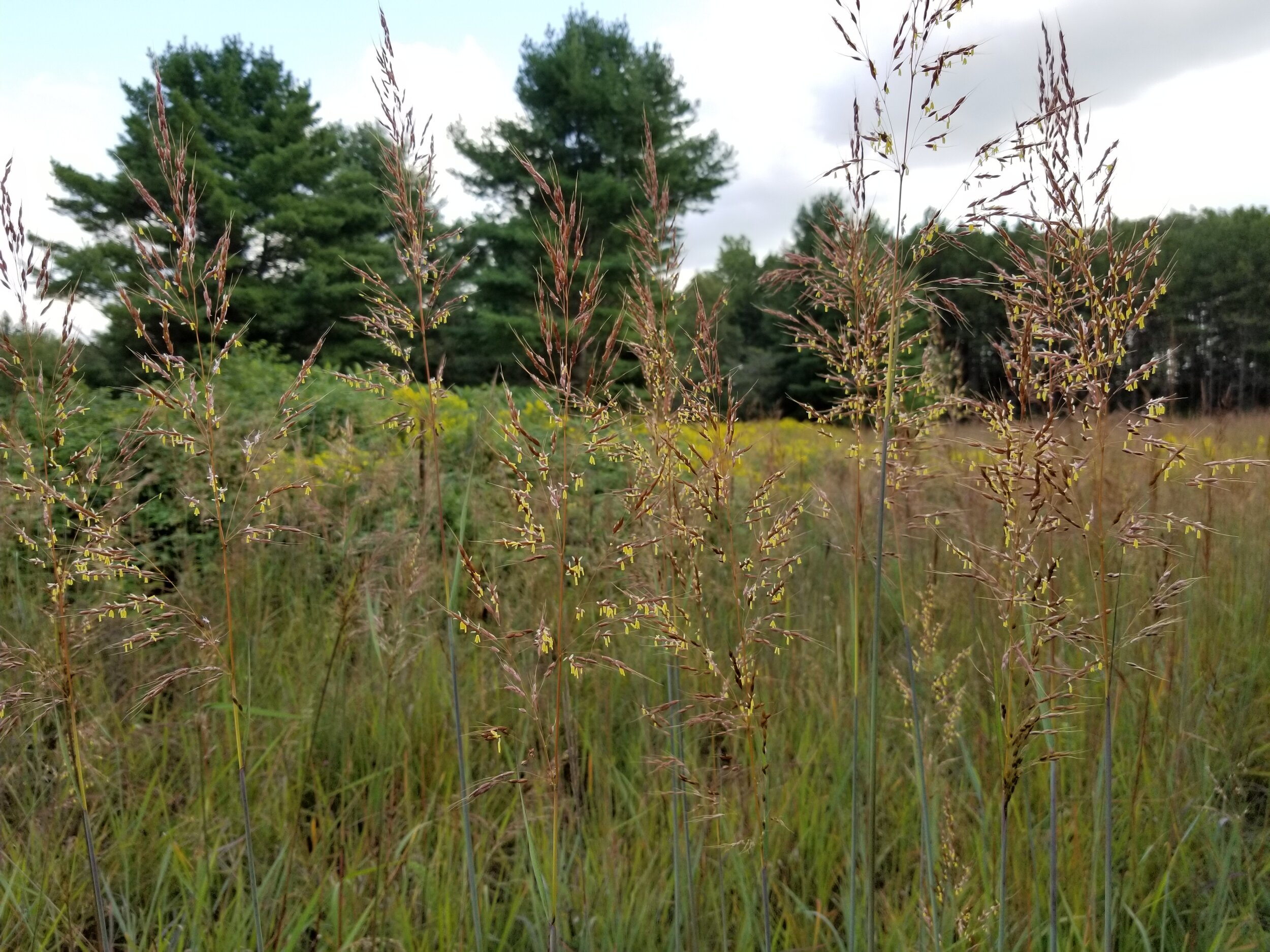 20190911_135728.jpg