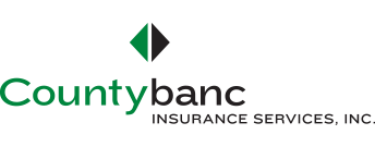 logo.webp