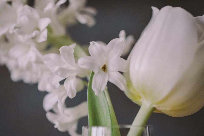 Hyacinth Spring Wedding Flowers Sheffield.jpeg