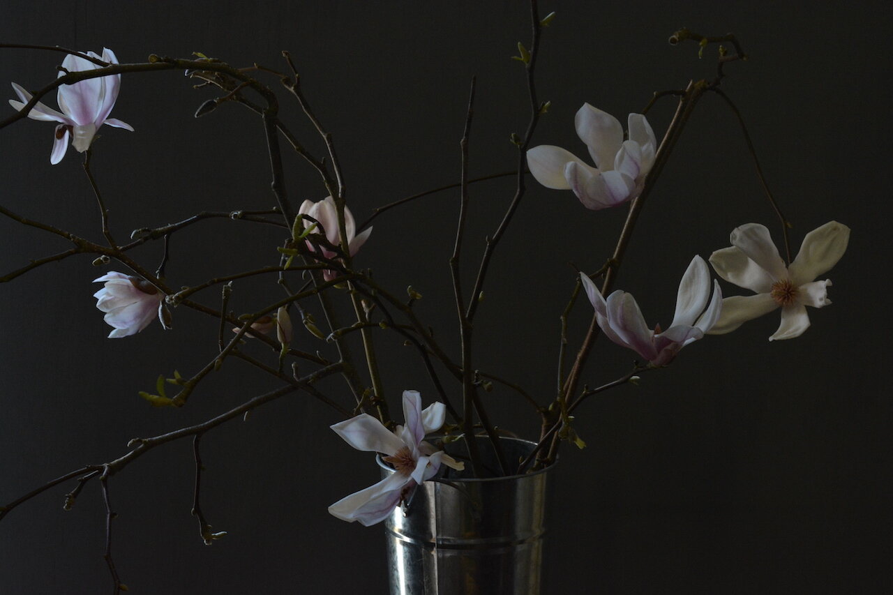 Magnolia Spring Wedding Flowers Sheffield.jpeg