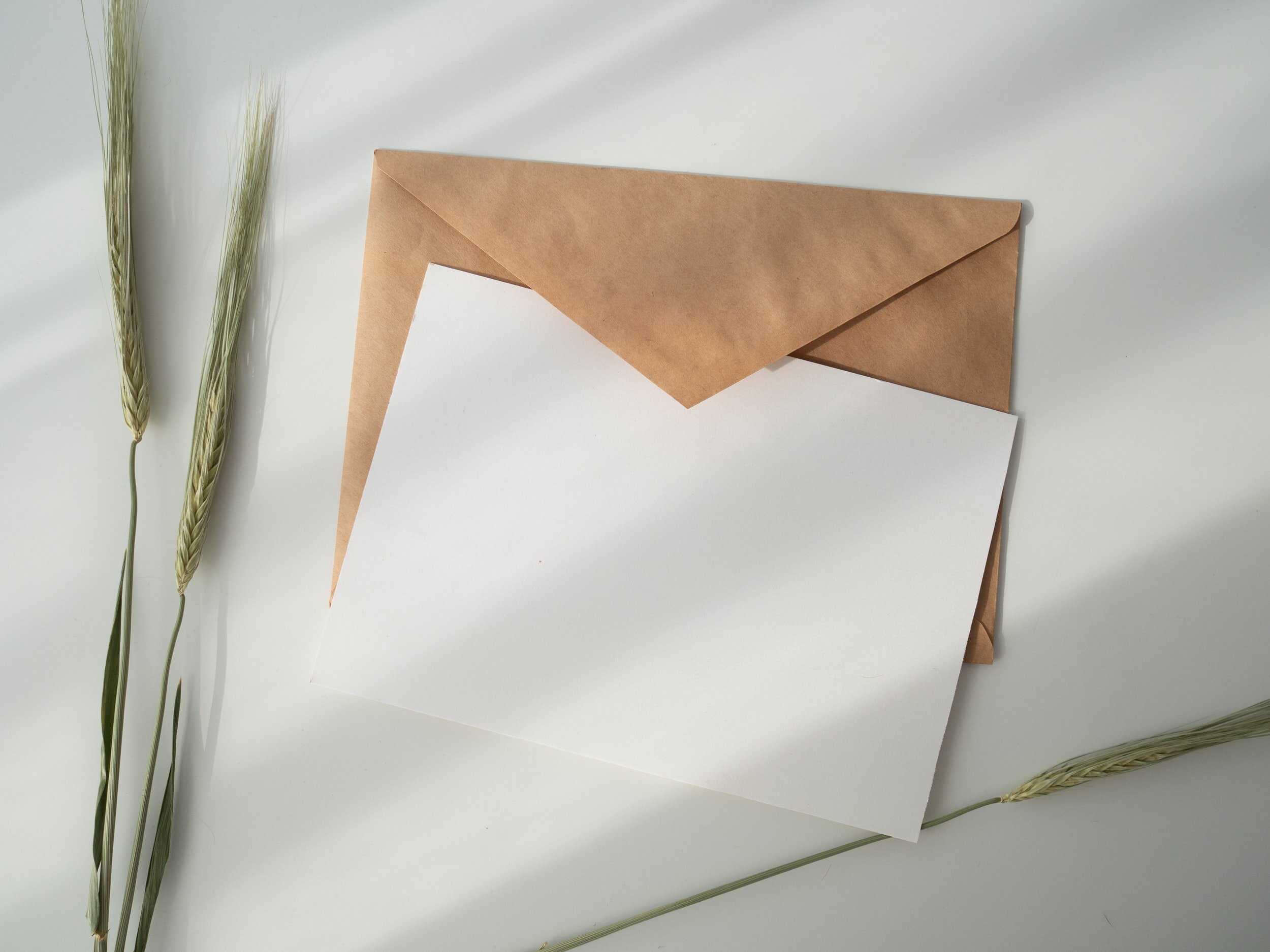 Comment rédiger le premier paragraphe de votre lettre de motivation