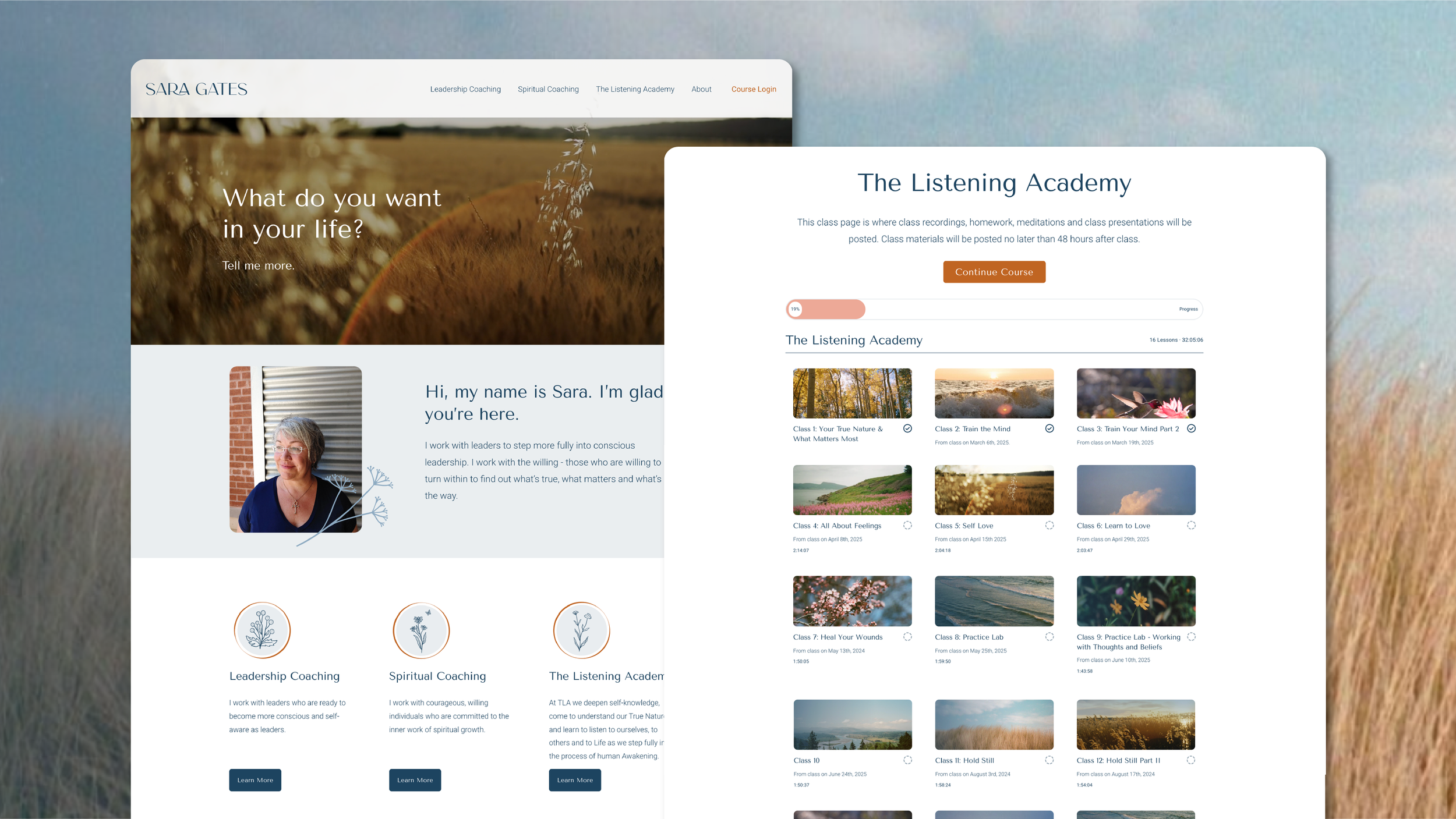 Sara Gates Website Redesign and Online Courses