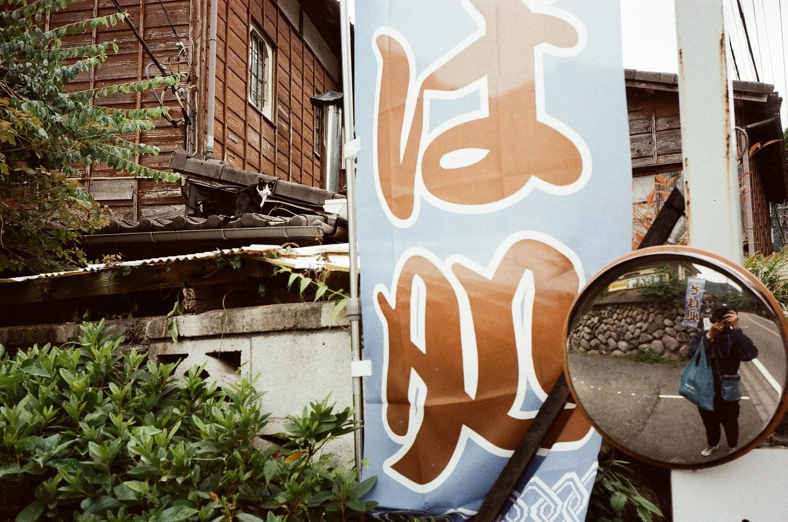 Mitake