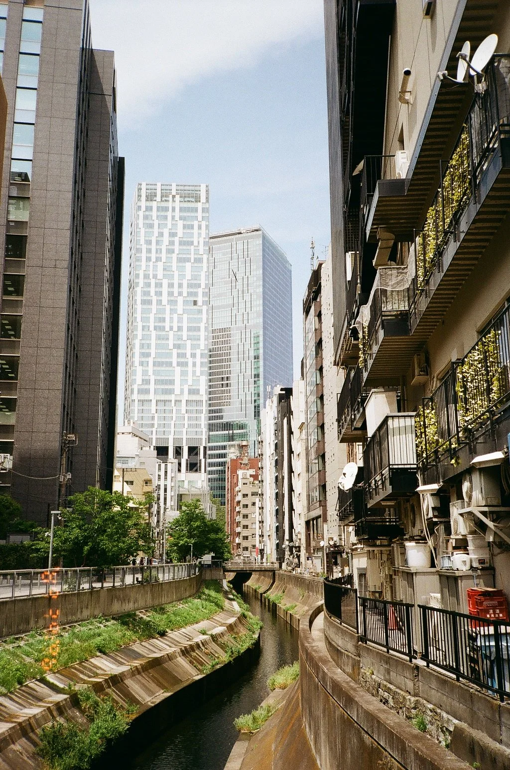 Shibuya