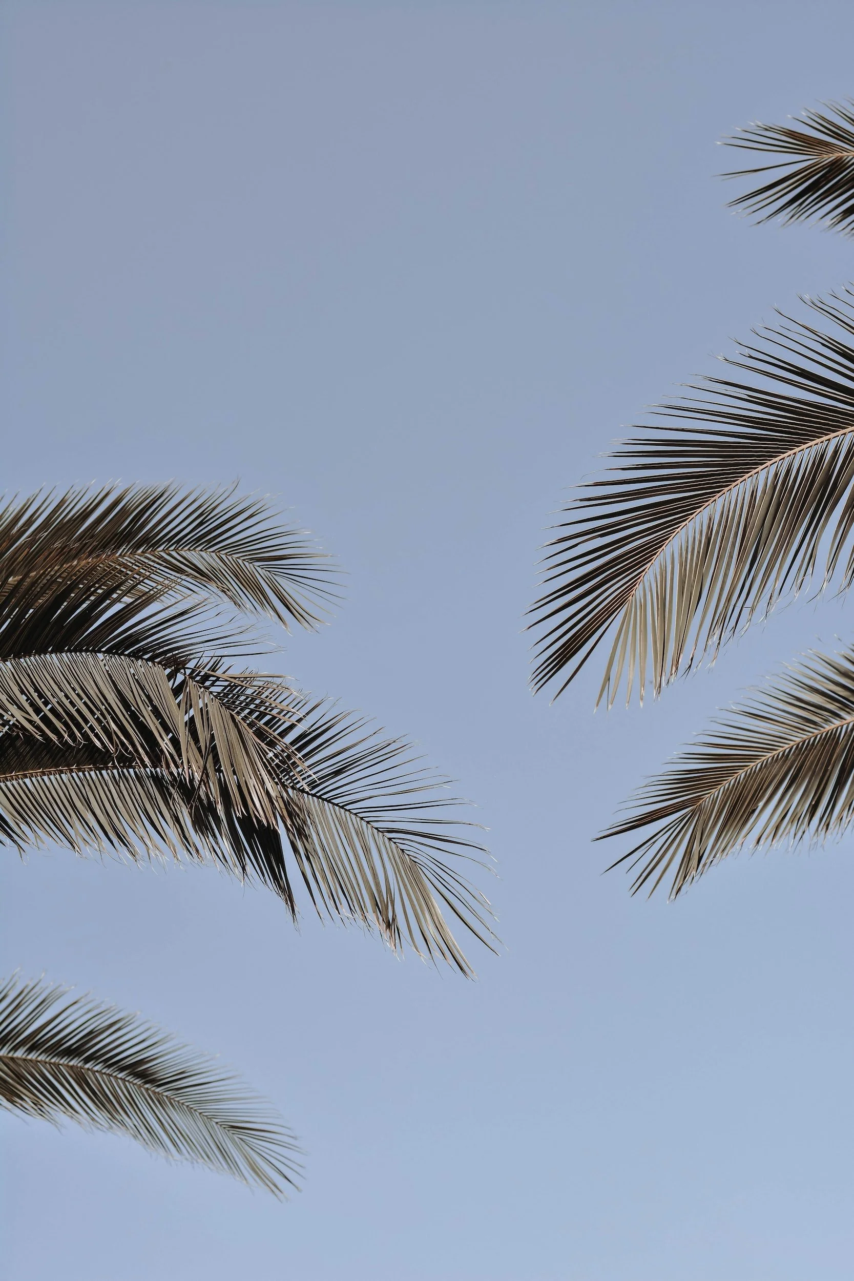 The 5 Simple Realtor Rules for Success