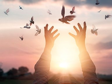 Easter Sunday                              The Resurrection of Our Lord