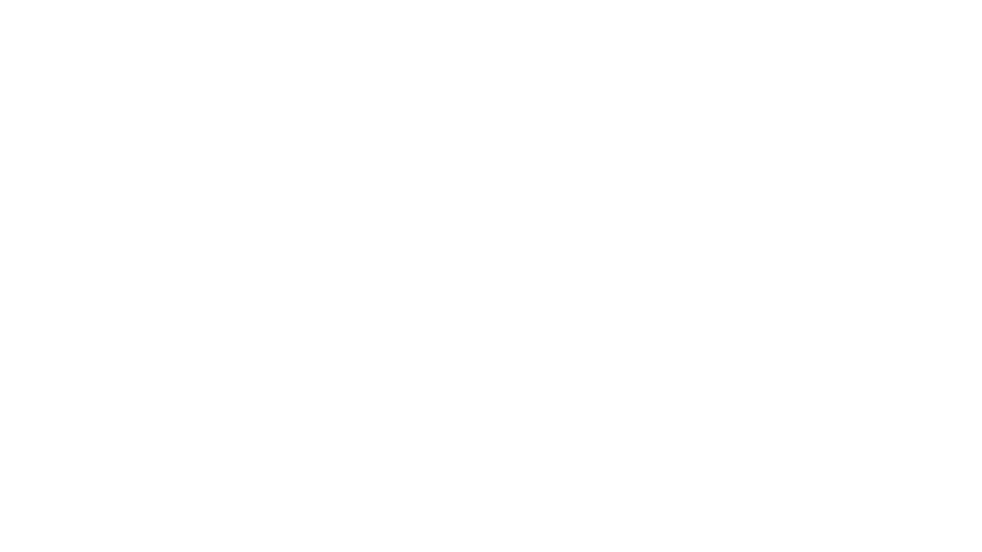 ZARA Estudio INDITEX