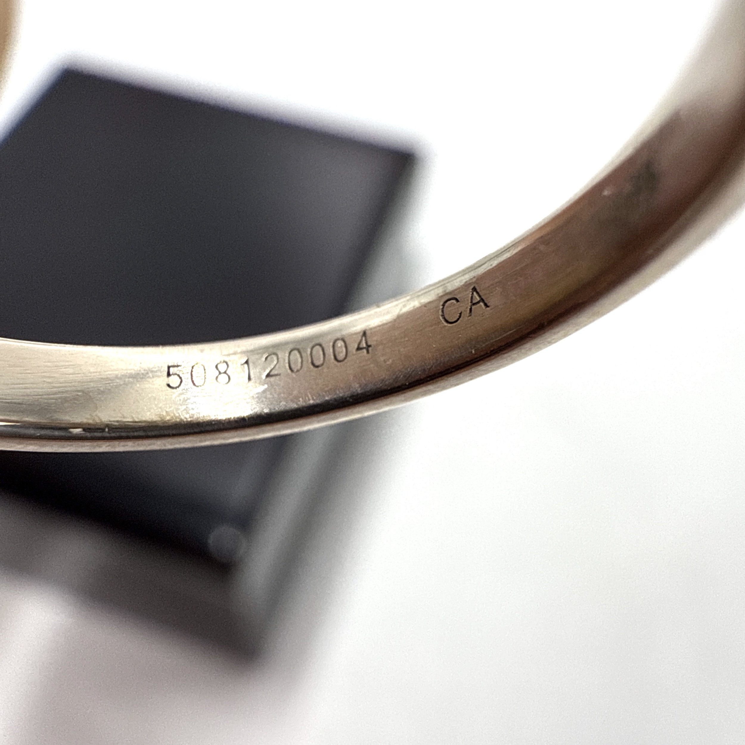 Photo 2026-01-10, 5 35 34 PM.jpg