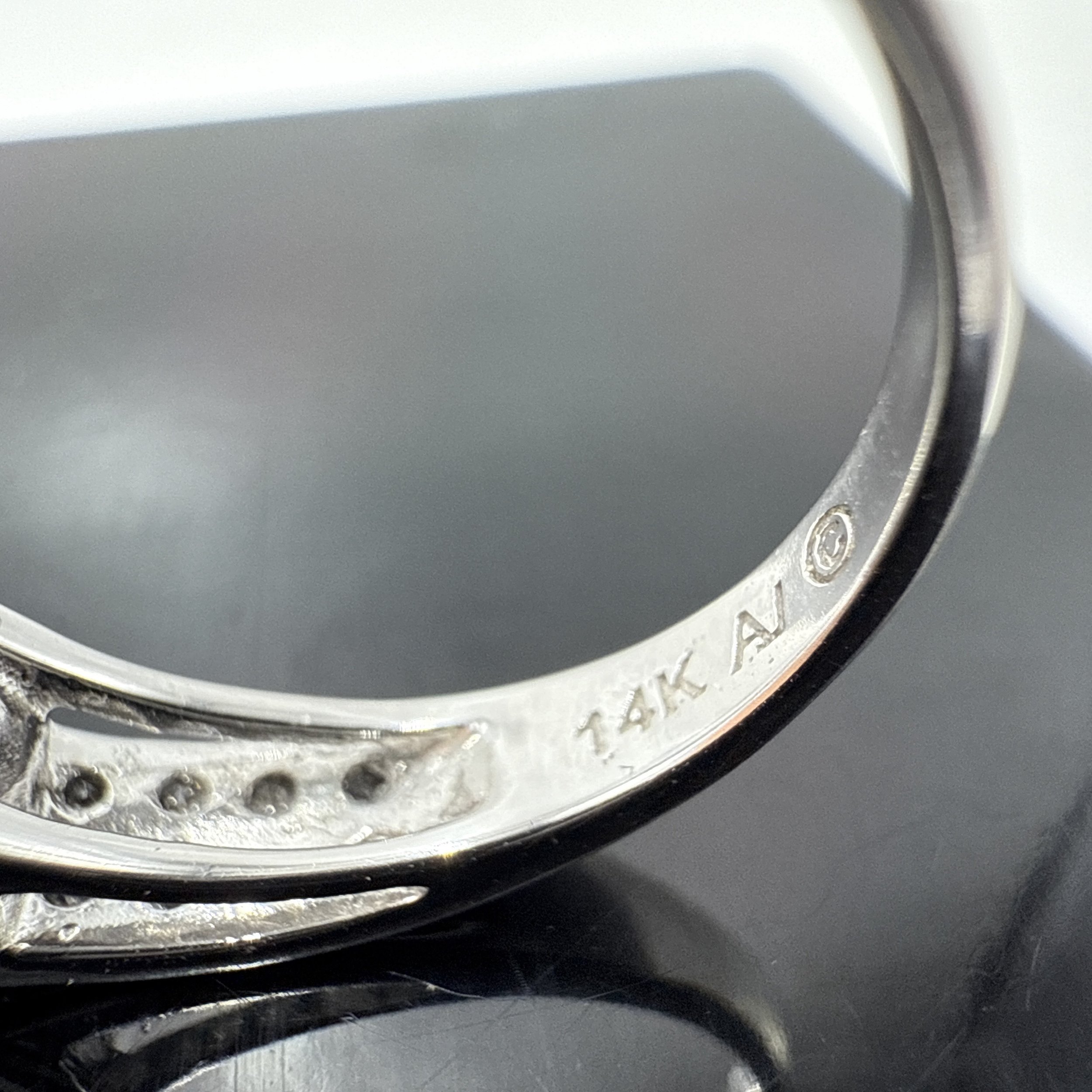 Photo 2026-02-01, 6 29 23 PM.jpg