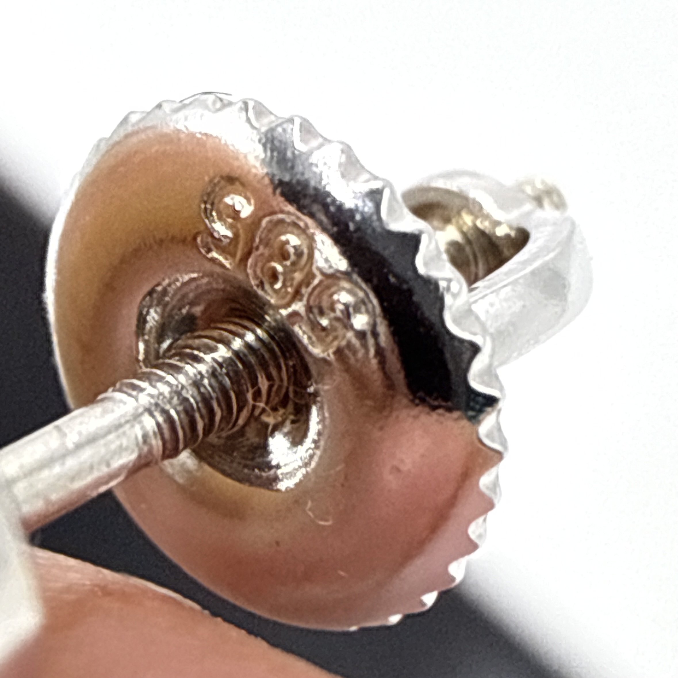 Photo 2026-02-26, 12 57 45 PM.jpg