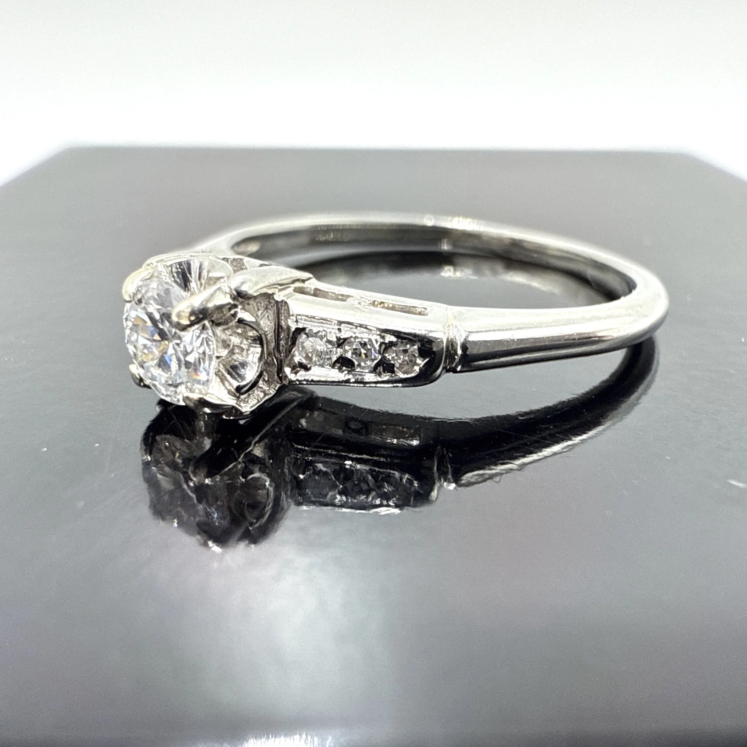 Photo 2026-01-26, 3 45 38 PM.jpg