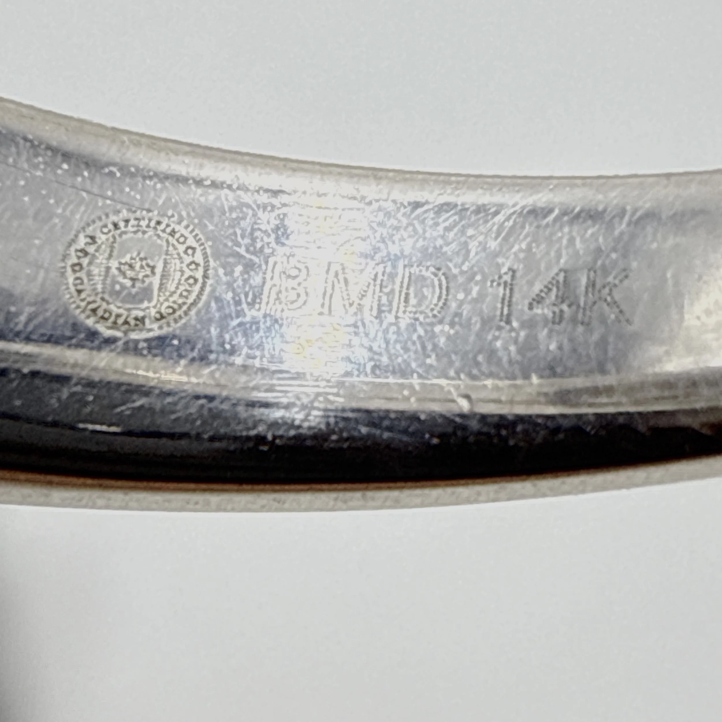 Photo 2026-01-24, 5 45 04 PM.jpg