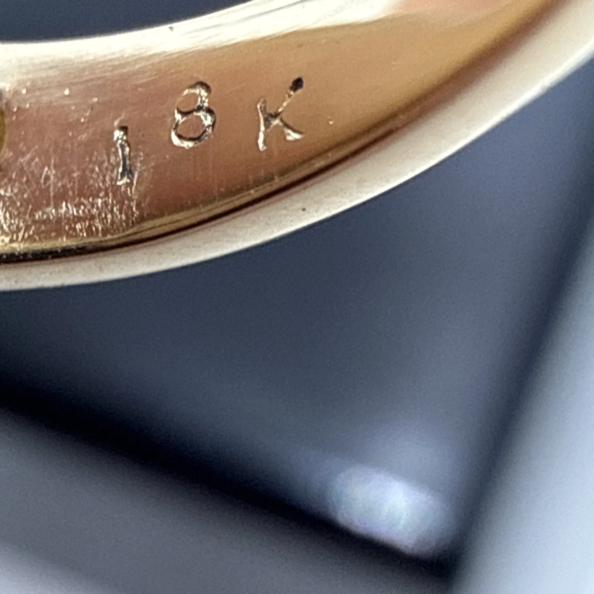 Photo 2026-03-24, 5 31 22 PM.jpg