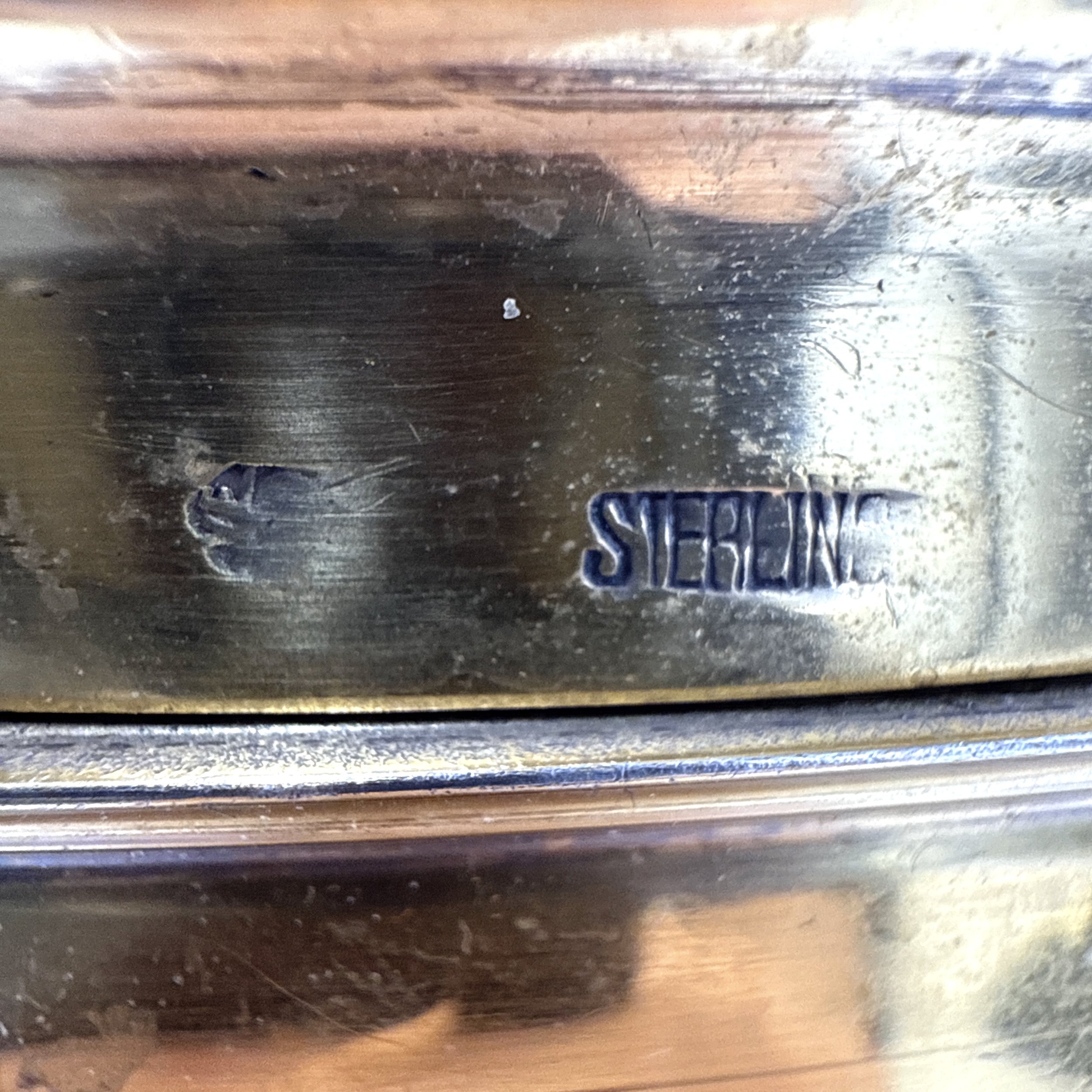 Photo 2026-02-01, 6 51 47 PM.jpg