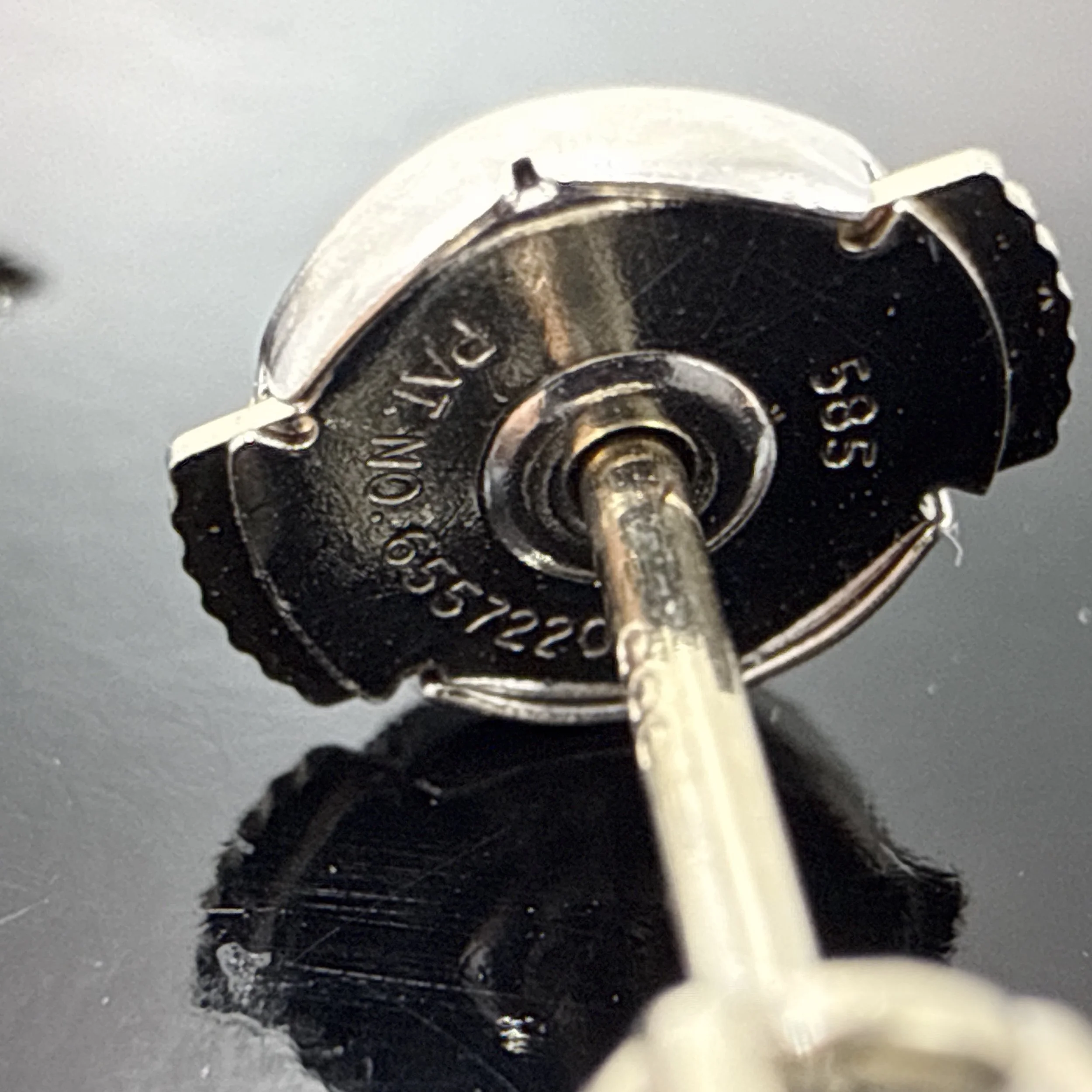 Photo 2026-02-26, 6 11 33 PM.jpg