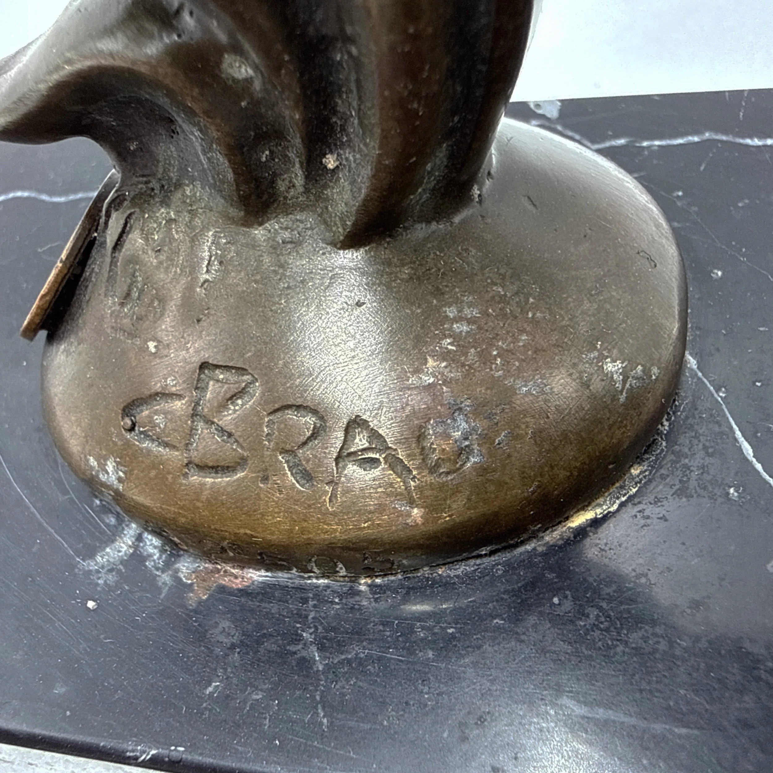 Photo 2026-03-12, 1 40 40 PM.jpg