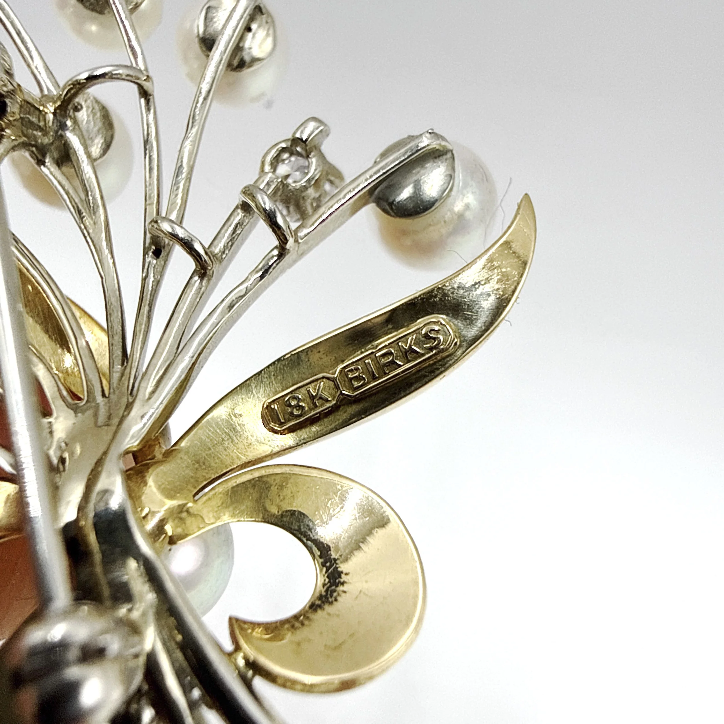 Photo 2026-04-10, 5 30 12 PM.jpg