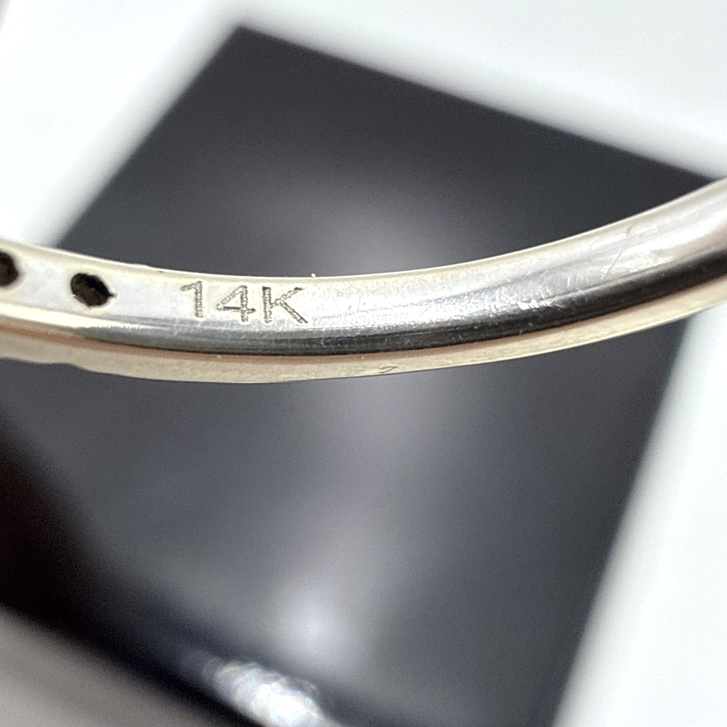 Photo 2026-04-18, 2 25 10 PM.jpg