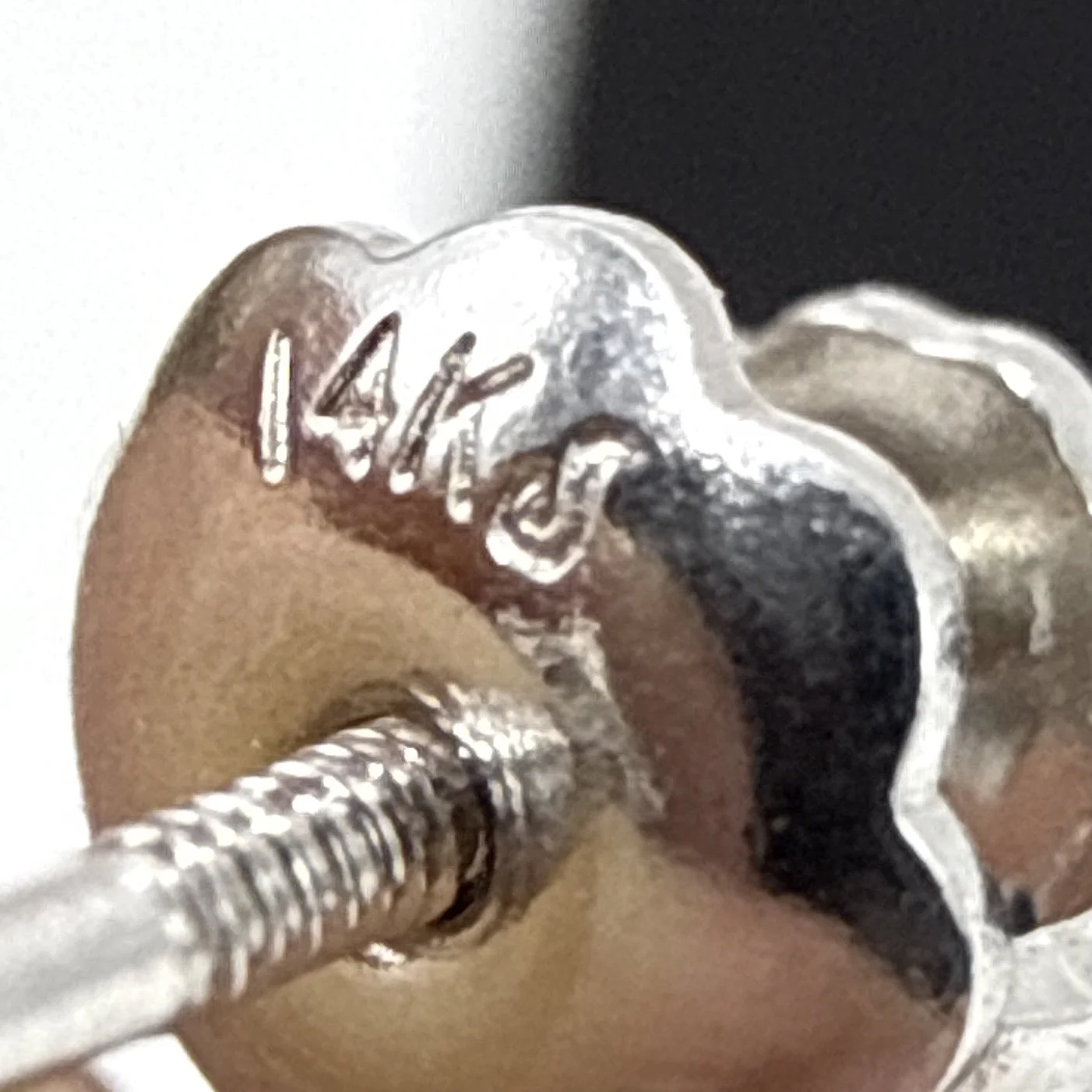 Photo 2026-04-10, 3 38 10 PM.jpg