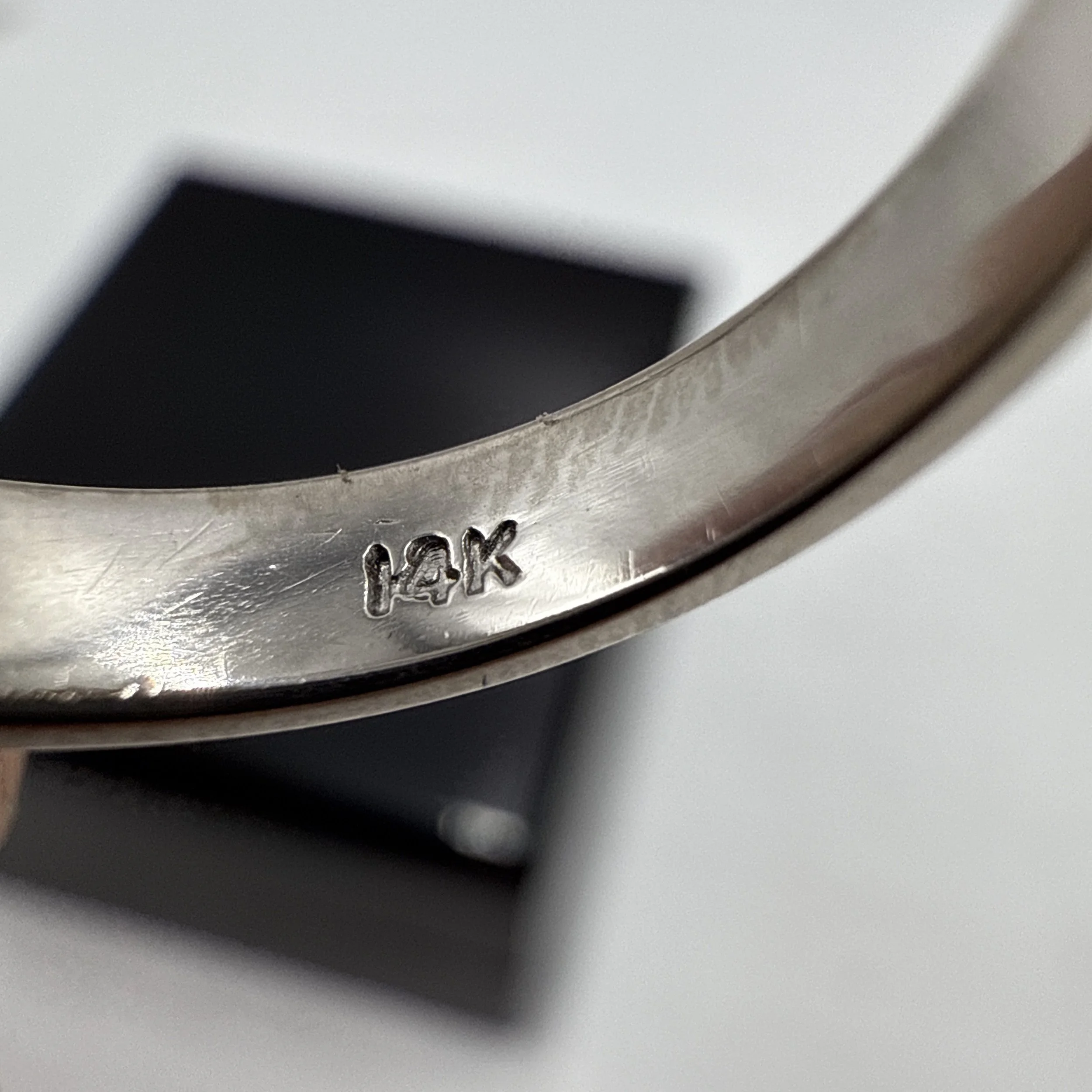 Photo 2026-01-10, 5 11 47 PM.jpg