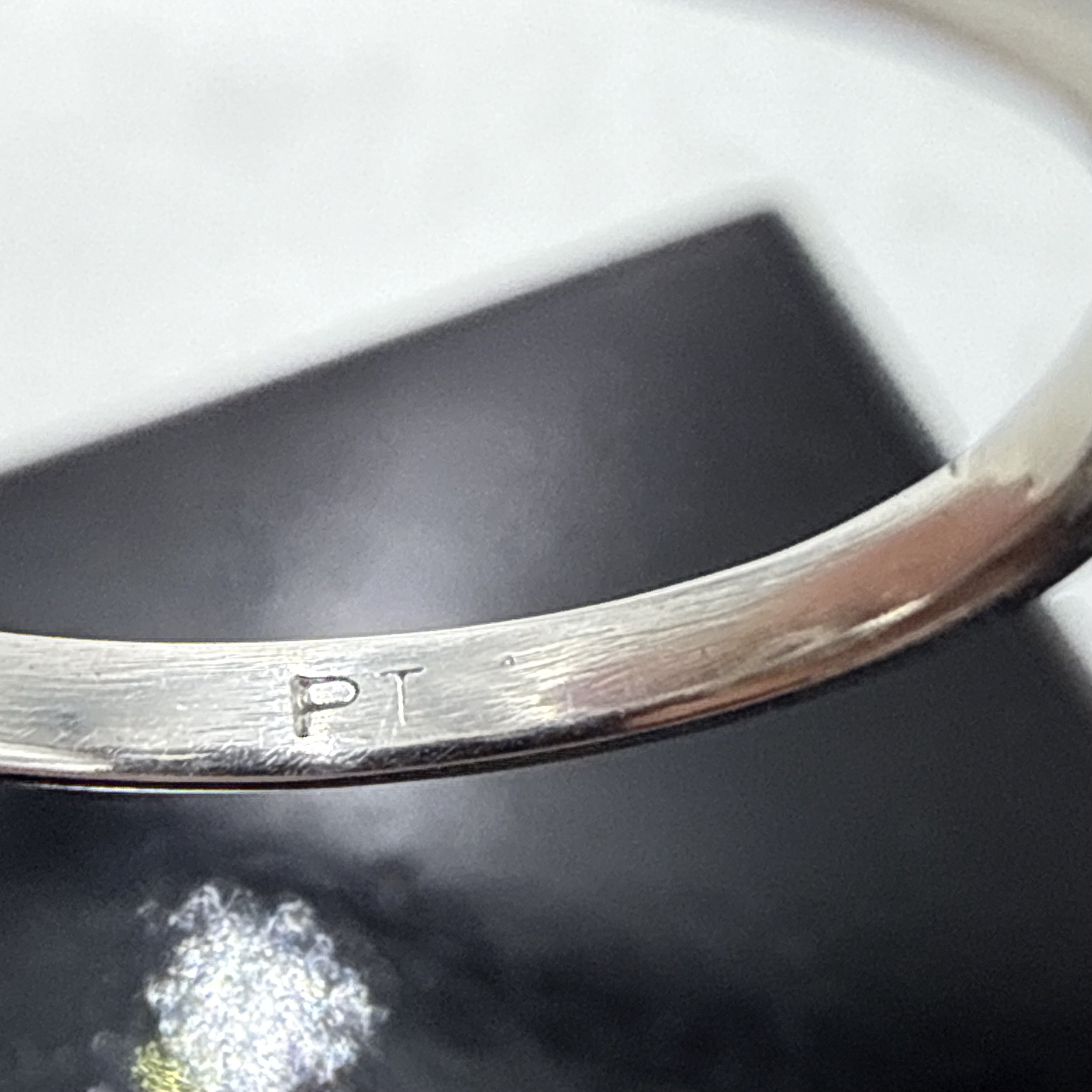 Photo 2026-03-31, 5 32 45 PM.jpg