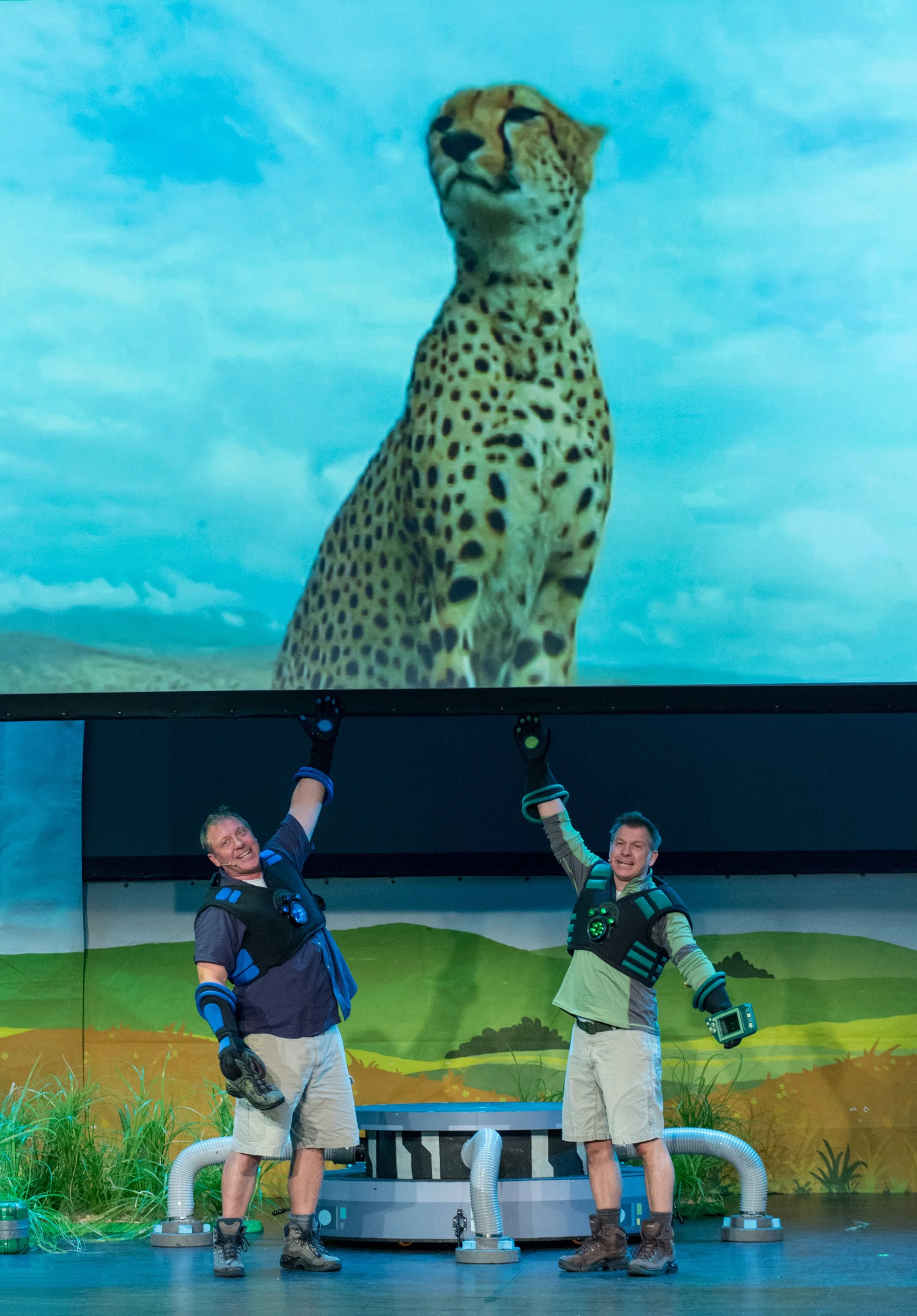 Chris_Martin_Cheetah (1).jpg