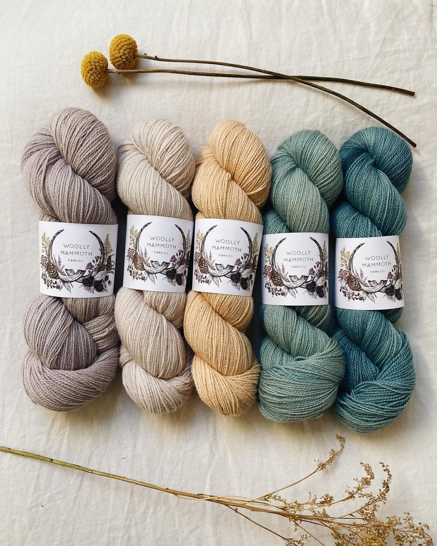 Another wee gradient. L-R: Oyster 1, Jasmine, Coast OOAK 1, Oceanic Light and Oceanic Dark all coming tonight in the shop update 🥰 (24th Feb, 8:00pm GMT!). You can check out the preview in my journal on my website &hearts;️✨
.
.
.
.
.
#woollymammoth