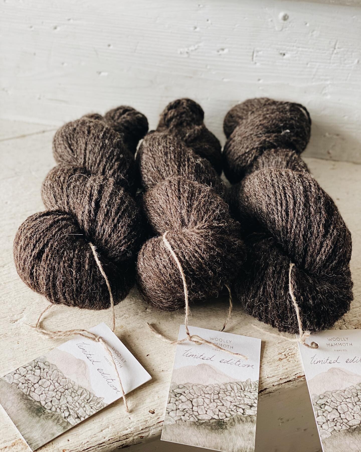 Got a whole bunch of Spotted Dutch and Jacobs x Black Dorset coming to the shop on 24th March, 8:00pm GMT ✨ These skeins were spun in Ireland by @olannmills and have an almost handspun quality. The fibre was sourced from here in Northern Ireland from