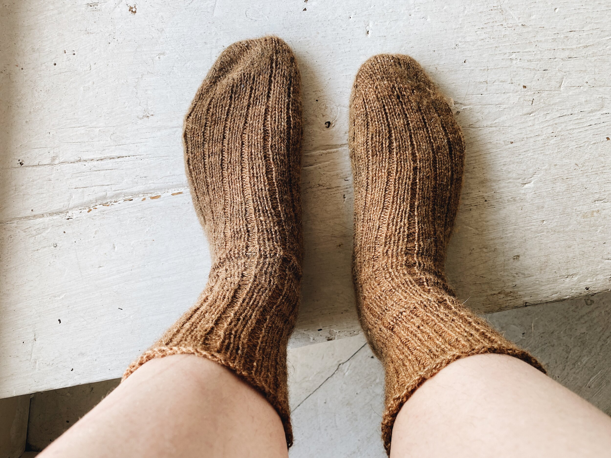 No Nylon Sock Knitting Experiments — Woolly Mammoth Fibre Co.