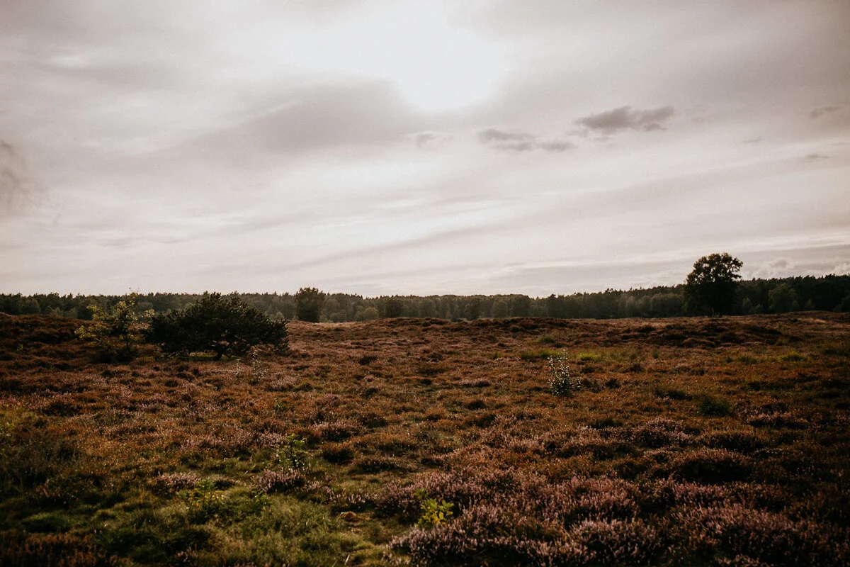 NundL_EileenPetzold_2020 (5).jpg