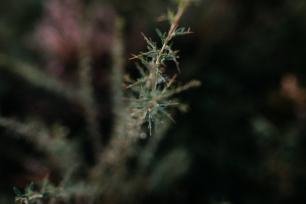 NundL_EileenPetzold_2020 (43).jpg