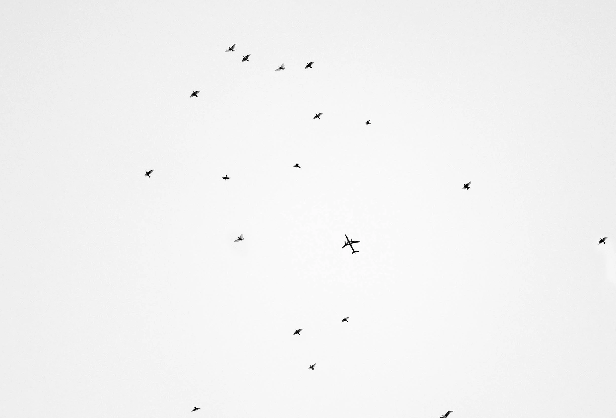 Cinematic black and white detail capturing the atmosphere of Rome. Editorial touch for a destination wedding narrative.