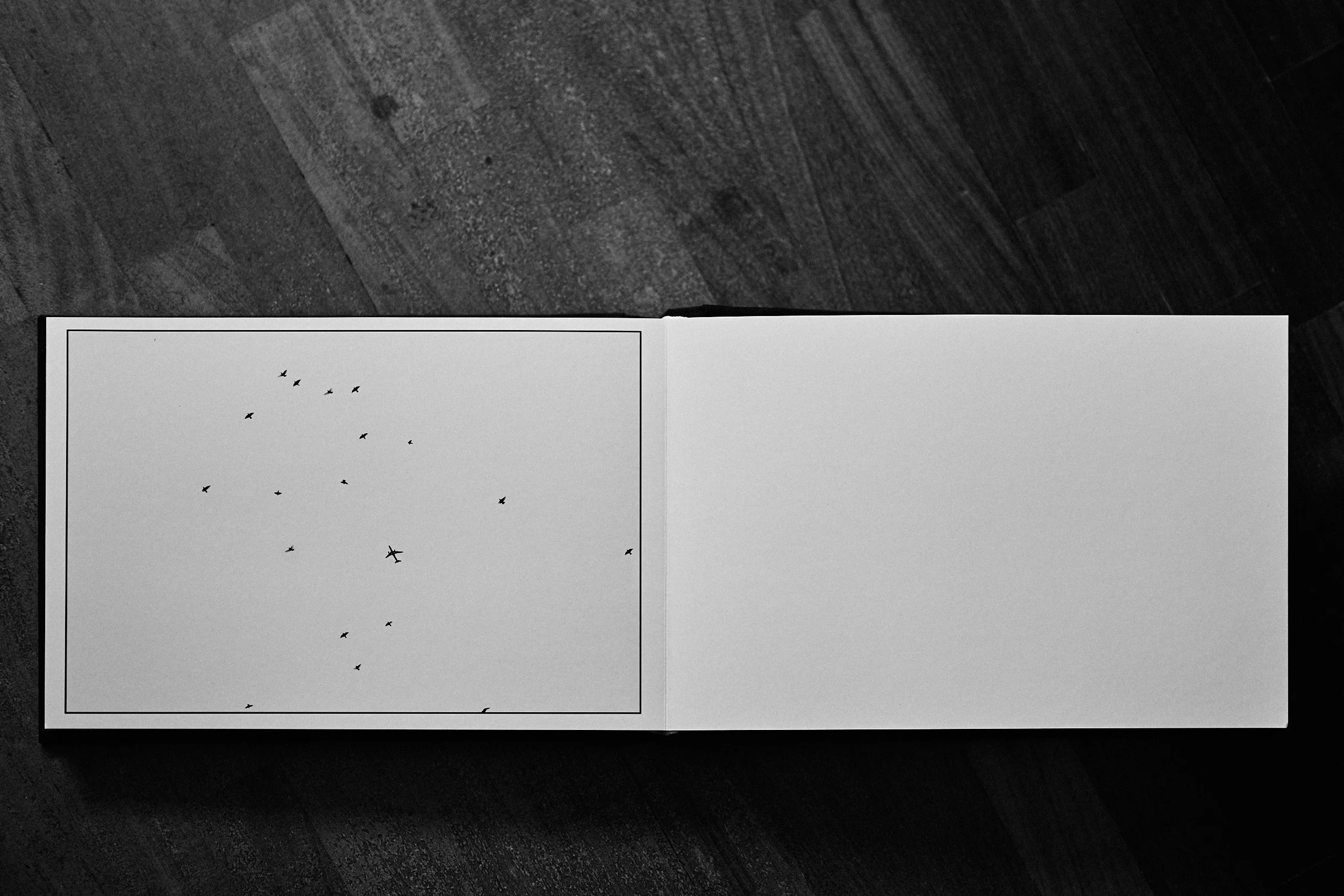 Birds & plane (spread) / Minimal sky scene with birds in flight and an airplane silhouette,