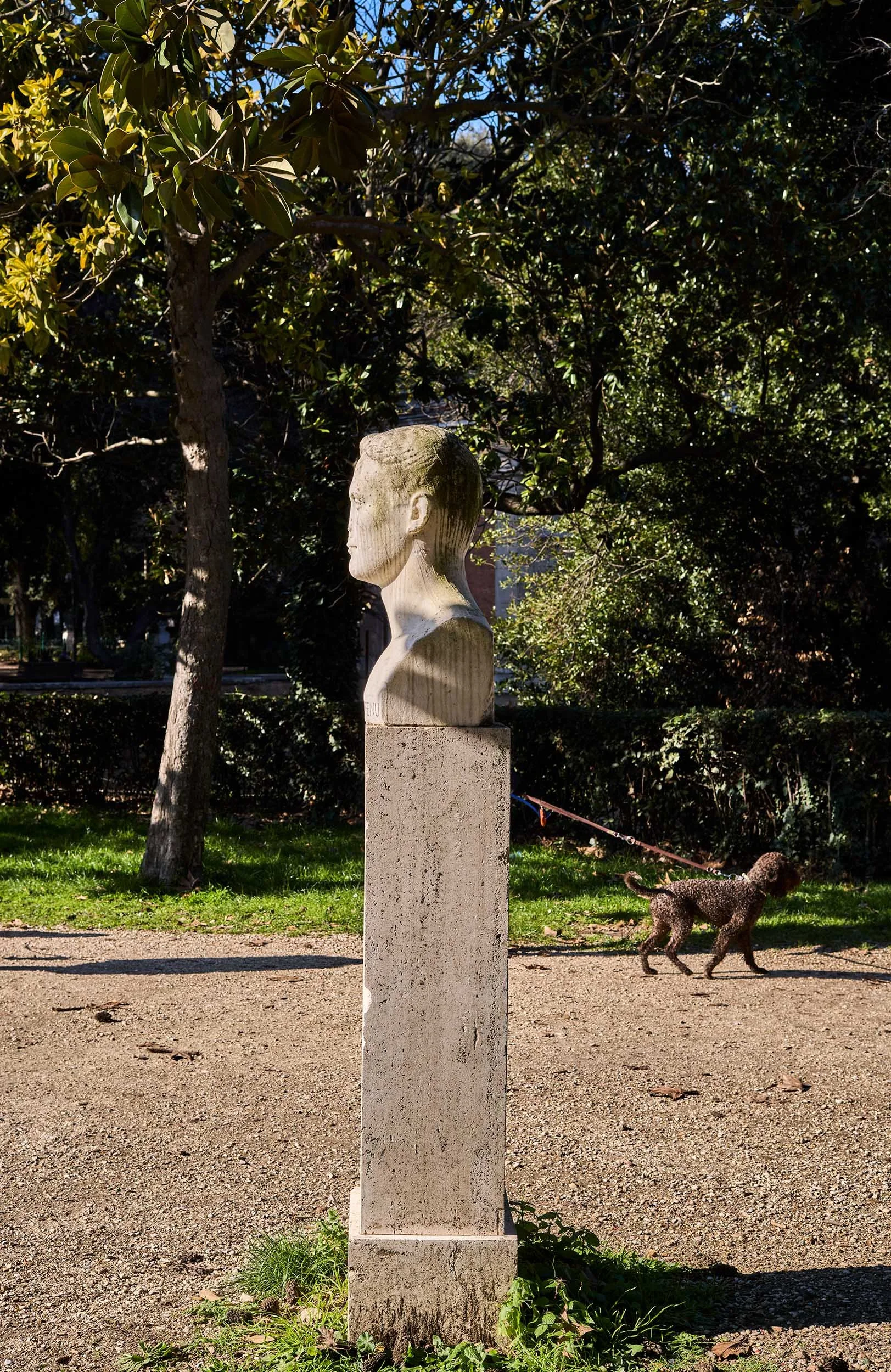 Playful street photograph in Rome — optical illusion with a dog and a statue