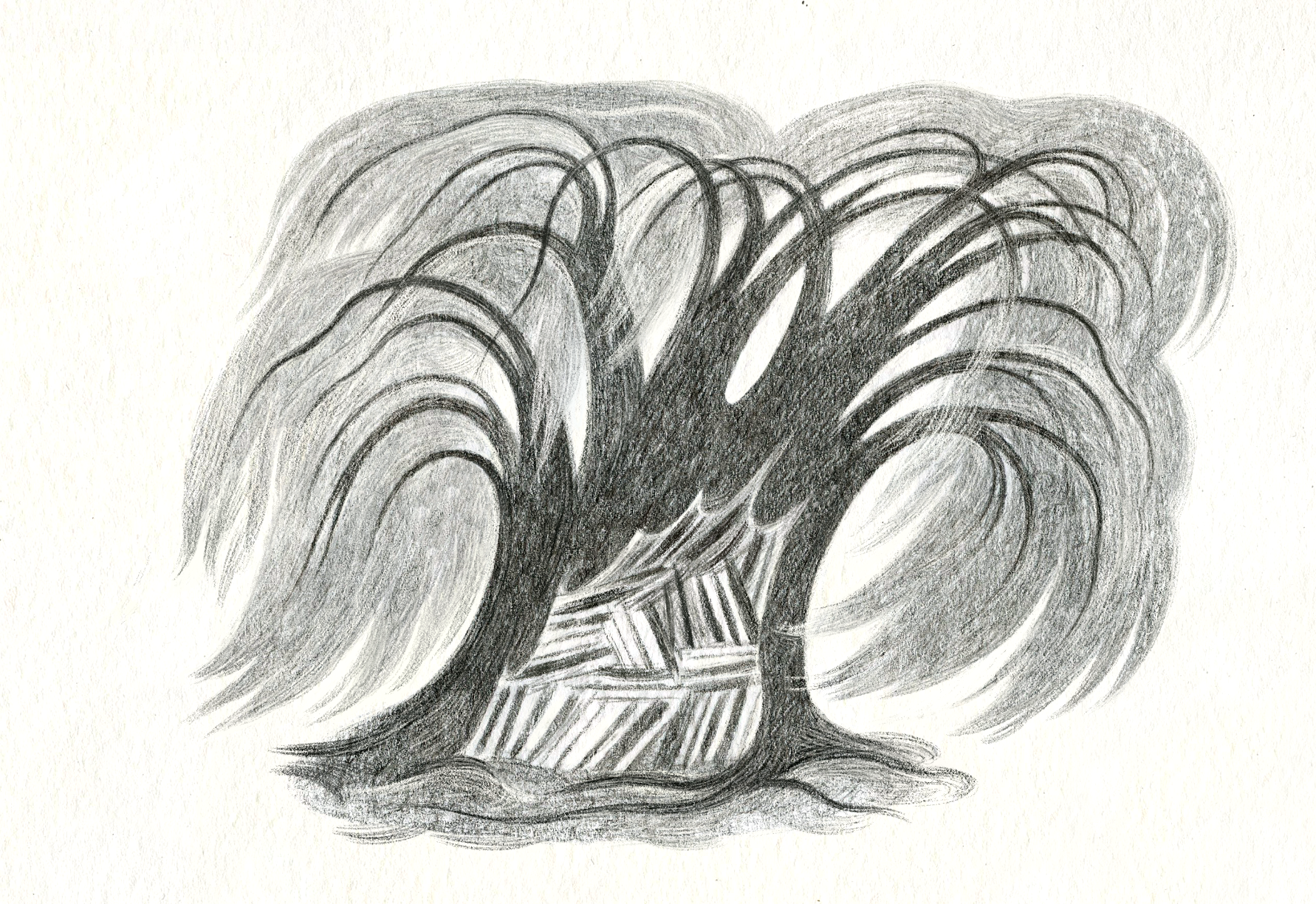 library tree site sample.png