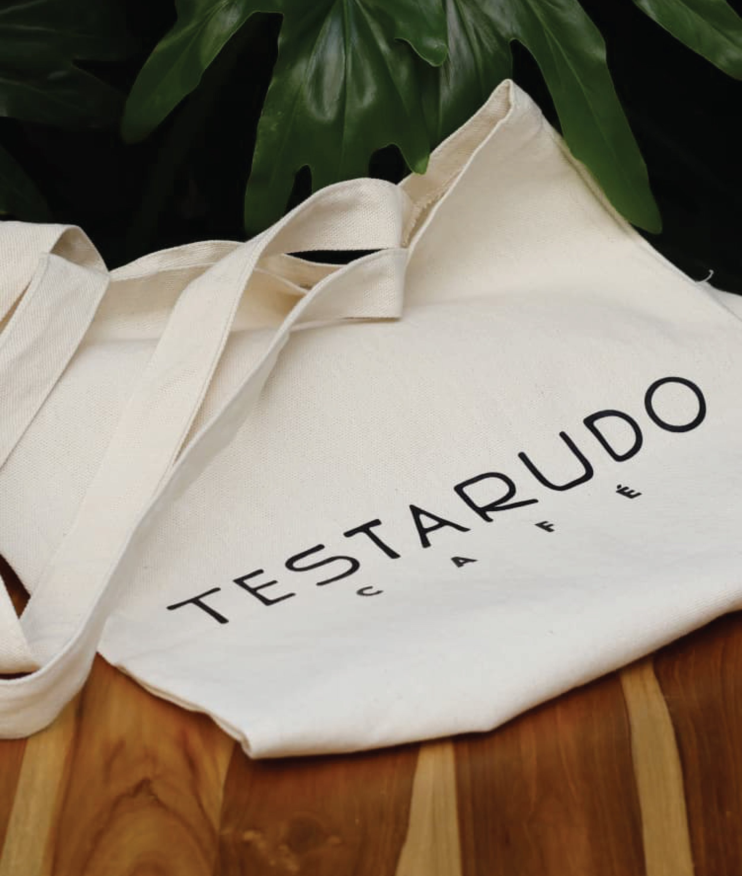 Testarudo-Behance-14.jpg