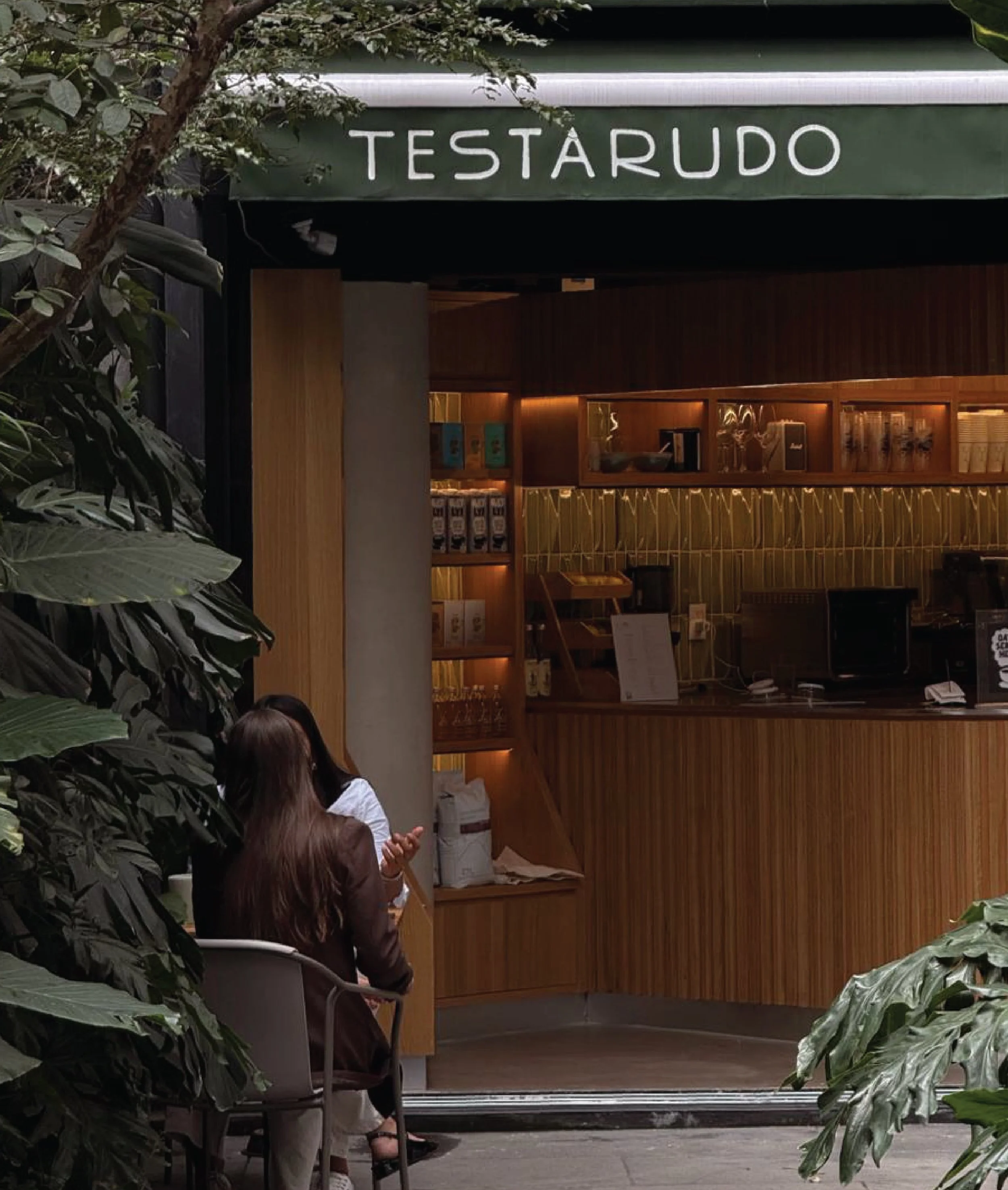 Testarudo-Behance-20.jpg