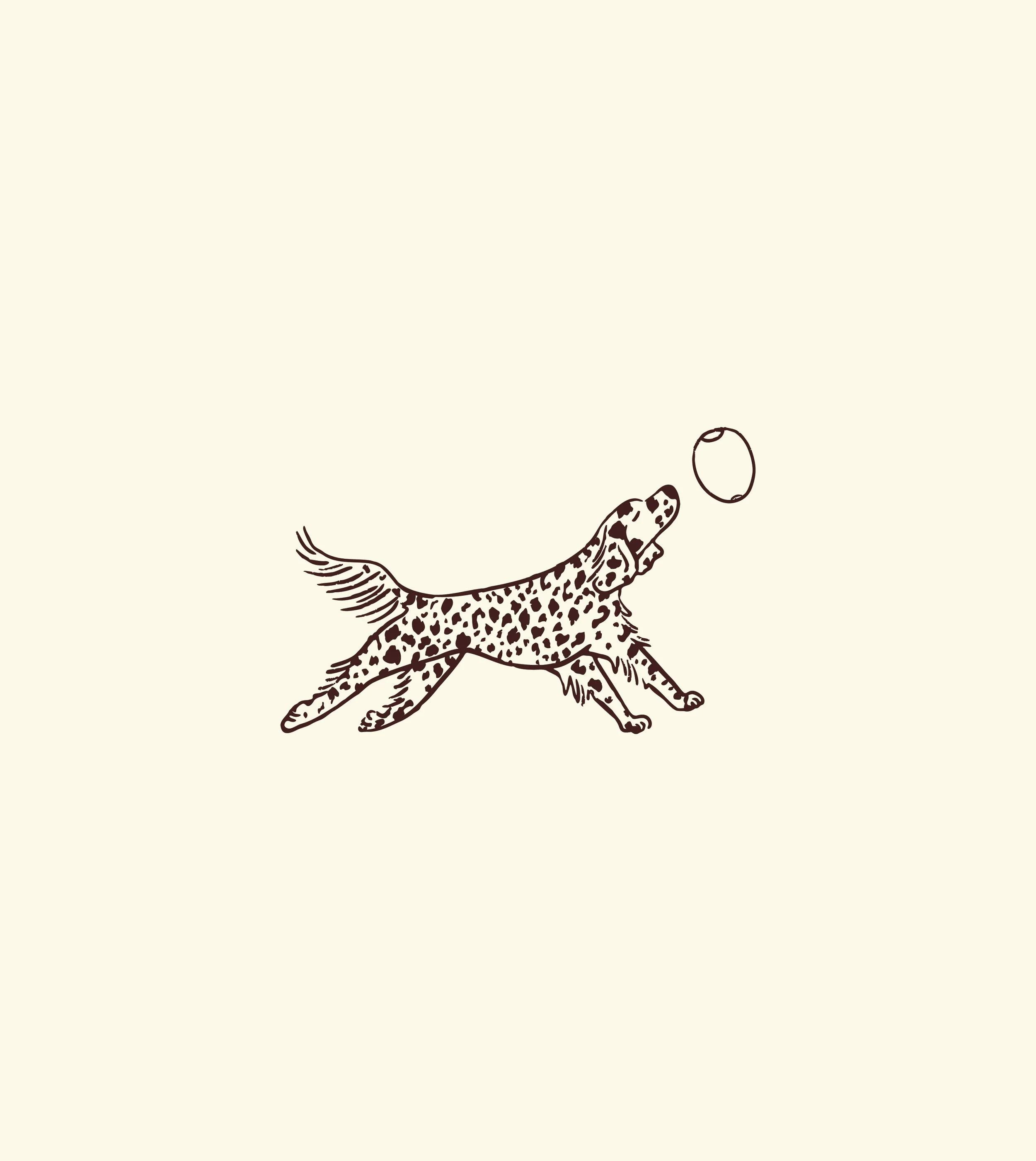 Viñetta-Behance-35.jpg