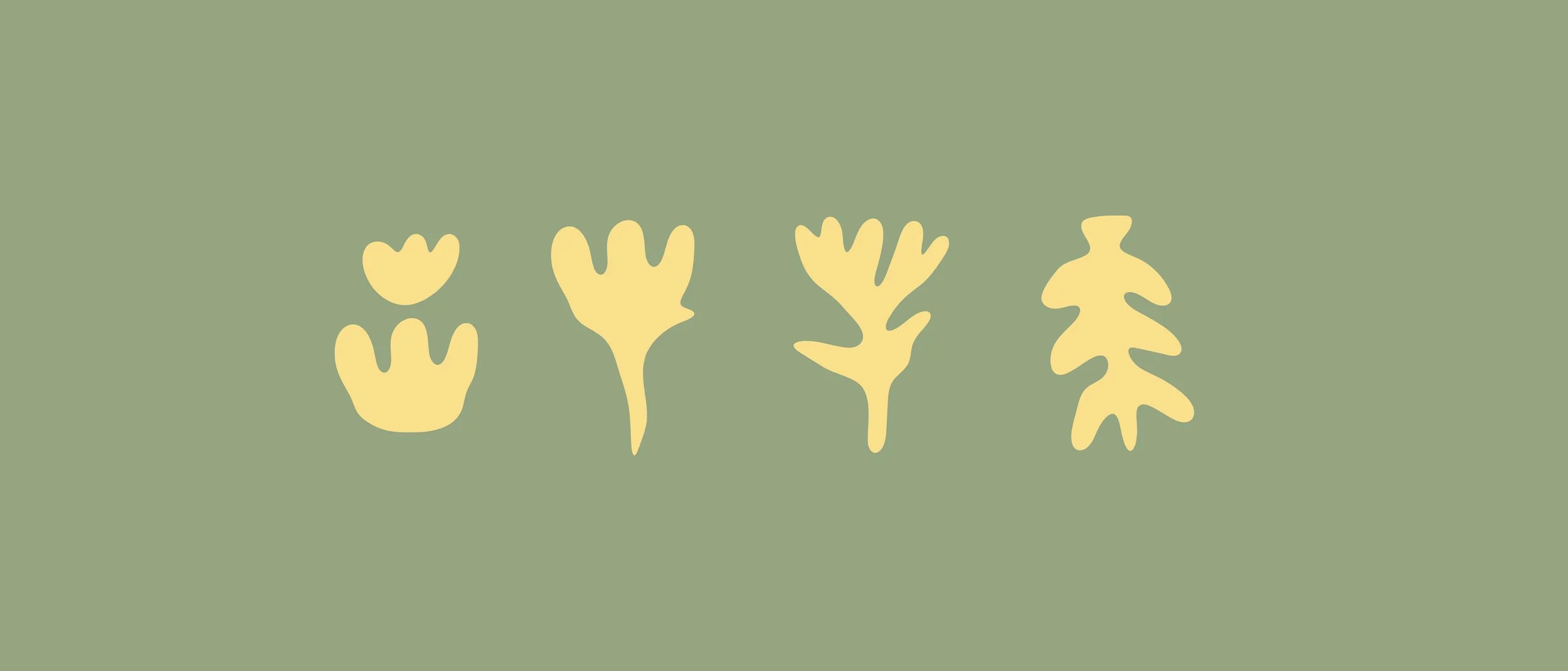 Testarudo-Behance-09.jpg
