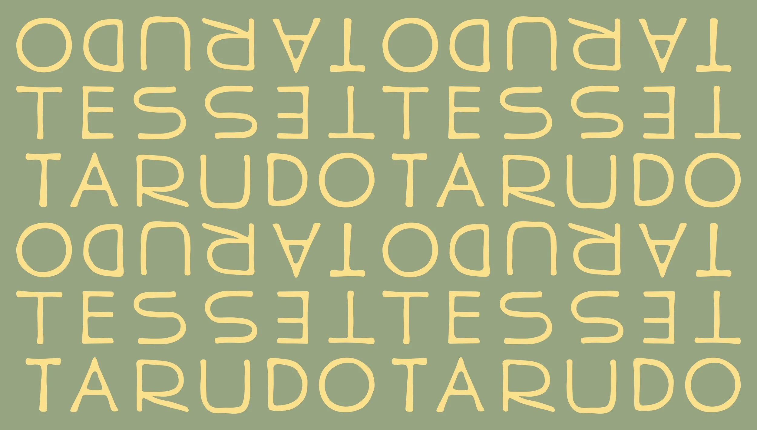 Testarudo-Behance-22.jpg