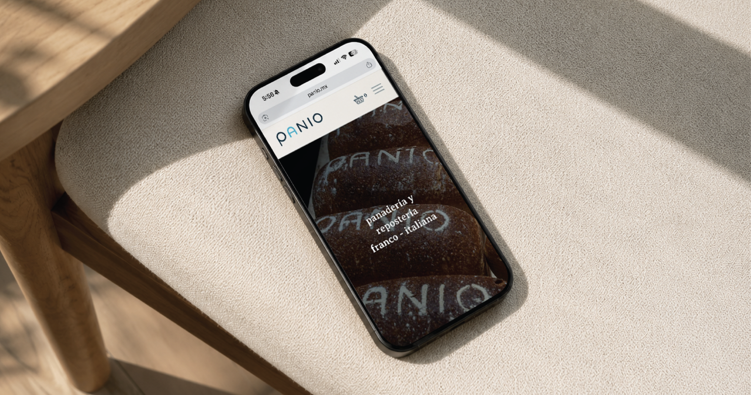 Panio-Portafolio-12.png