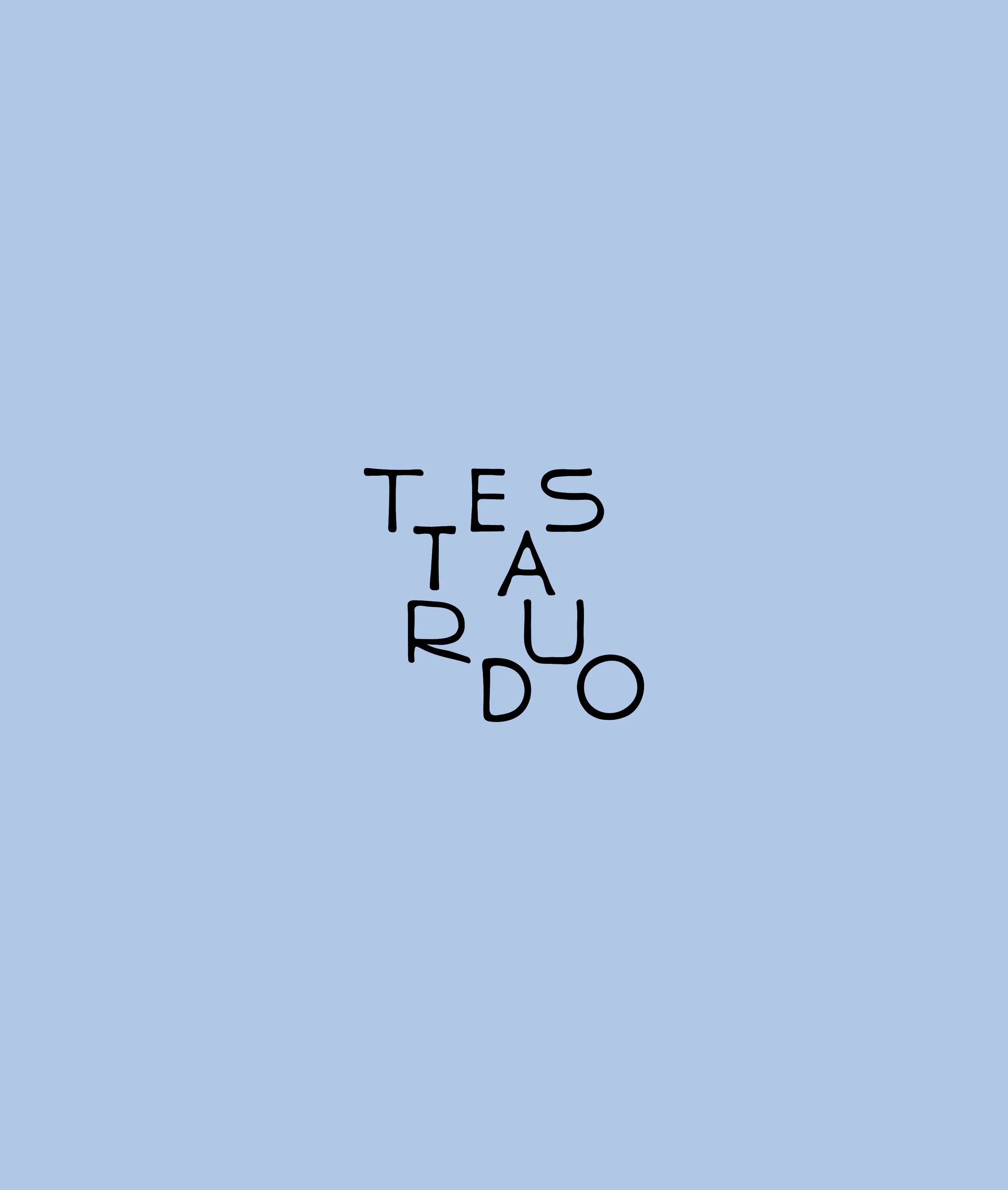 Testarudo-Behance-15.jpg